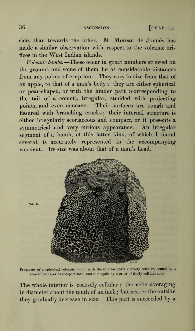 side, than towards the other. M. Moreau de Jonnes has made a similar observation with respect to the volcanic ori- fices in the West Indian islands. Volcanic bombs.—These occur in great numbers strewed on the ground, and some of them lie at considerable distances from any points of eruption. They vary in size from that of an apple, to that of a man’s body ; they are either spherical or pear-shaped, or with the hinder part (corresponding to the tail of a comet), irregular, studded with projecting points, and even concave. Their surfaces are rough and fissured with branching cracks; their internal structure is either irregularly scoriaceous and compact, or it presents a symmetrical and very curious appearance. An irregular segment of a bomb, of this latter kind, of which I found several, is accurately represented in the accompanying woodcut. Its size was about that of a man’s head. No. 8. Fragment of a spherical volcanic bomb, with the interior parts coarsely cellular, coated by a concentric layer of compact lava, and this again by a crust of finely cellular rock. The whole interior is coarsely cellular ; the cells averaging in diameter about the tenth of an inch; but nearer the outside they gradually decrease in size. This part is succeeded by a