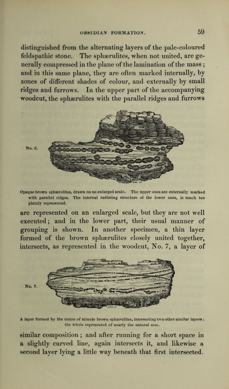 distinguished from the alternating layers of the pale-coloured feldspathic stone. The sphaerulites, when not united, are ge- nerally compressed in the plane of the lamination of the mass ; and in this same plane, they are often marked internally, by zones of different shades of colour, and externally by small ridges and furrows. In the upper part of the accompanying woodcut, the sphaerulites with the parallel ridges and furrows No. 6. Opaque brown sphaerulites, drawn on an enlarged scale. The upper ones are externally marked with parallel ridges. The internal radiating structure of the lower ones, is much too plainly represented. are represented on an enlarged scale, but they are not well executed; and in the lower part, their usual manner of grouping is shown. In another specimen, a thin layer formed of the brown sphaerulites closely united together, intersects, as represented in the woodcut, No. 7, a layer of No. 7. A layer formed by the union of minute brown sphcerulites, intersecting two other similar layers : the whole represented of nearly the natural size. similar composition ; and after running for a short space in a slightly curved line, again intersects it, and likewise a second layer lying a little way beneath that first intersected.