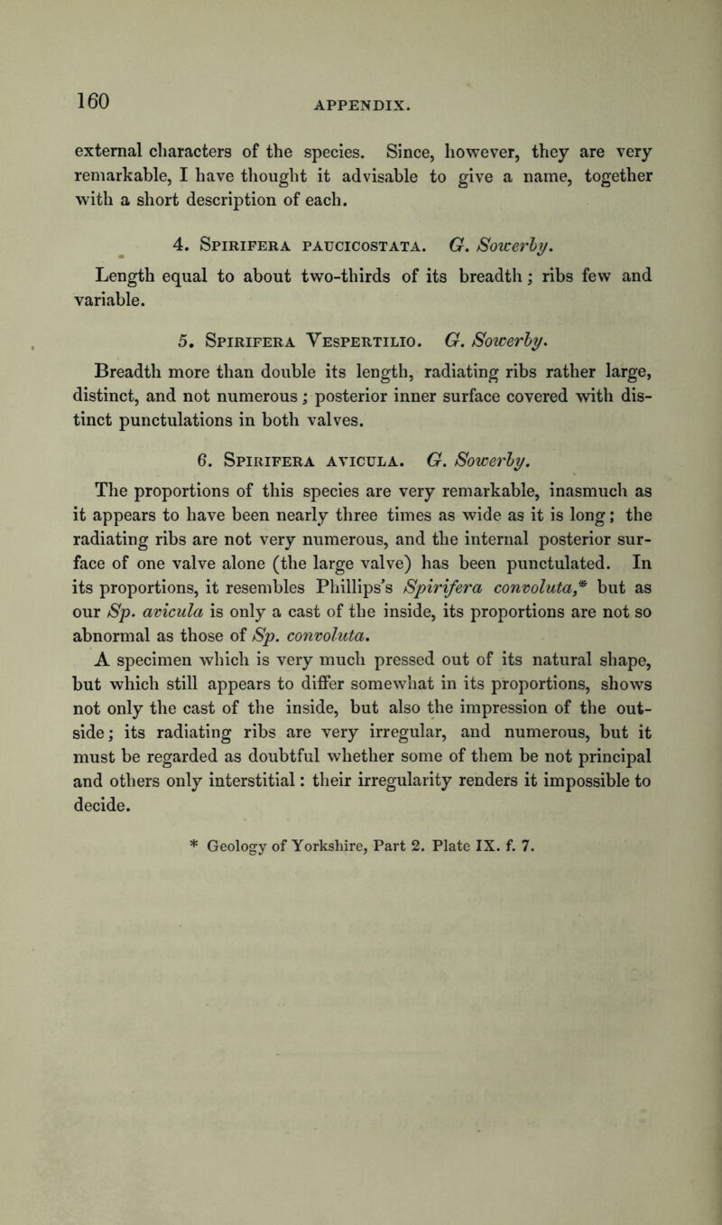 external characters of the species. Since, however, they are very remarkable, I have thought it advisable to give a name, together with a short description of each. 4. Spirifera paucicostata. G. Sowerby. Length equal to about two-thirds of its breadth; ribs few and variable. 5. Spirifera Vespertilio. G. Sowerby. Breadth more than double its length, radiating ribs rather large, distinct, and not numerous; posterior inner surface covered with dis- tinct punctulations in both valves. 6. Spirifera avicula. G. Sowerby. The proportions of this species are very remarkable, inasmuch as it appears to have been nearly three times as wide as it is long; the radiating ribs are not very numerous, and the internal posterior sur- face of one valve alone (the large valve) has been punctulated. In its proportions, it resembles Phillips’s Spirifera convolutaf but as our Sp. avicula is only a cast of the inside, its proportions are not so abnormal as those of Sp. convoluta. A specimen which is very much pressed out of its natural shape, but which still appears to differ somewhat in its proportions, shows not only the cast of the inside, but also the impression of the out- side ; its radiating ribs are very irregular, and numerous, but it must be regarded as doubtful whether some of them be not principal and others only interstitial: their irregularity renders it impossible to decide. * Geology of Yorkshire, Part 2. Plate IX. f. 7.