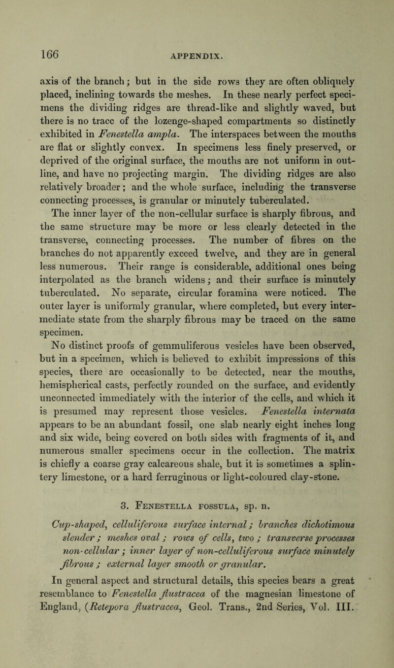axis of the branch; but in the side rows they are often obliquely placed, inclining towards the meshes. In these nearly perfect speci- mens the dividing ridges are thread-like and slightly waved, but there is no trace of the lozenge-shaped compartments so distinctly exhibited in Fenestella ampla. The interspaces between the mouths are flat or slightly convex. In specimens less finely preserved, or deprived of the original surface, the mouths are not uniform in out- line, and have no projecting margin. The dividing ridges are also relatively broader; and the whole surface, including the transverse connecting processes, is granular or minutely tuberculated. The inner layer of the non-cellular surface is sharply fibrous, and the same structure may be more or less clearly detected in the transverse, connecting processes. The number of fibres on the branches do not apparently exceed twelve, and they are in general less numerous. Their range is considerable, additional ones being interpolated as the branch widens; and their surface is minutely tuberculated. No separate, circular foramina were noticed. The outer layer is uniformly granular, where completed, but every inter- mediate state from the sharply fibrous may be traced on the same specimen. No distinct proofs of gemmuliferous vesicles have been observed, but in a specimen, which is believed to exhibit impressions of this species, there are occasionally to be detected, near the mouths, hemispherical casts, perfectly rounded on the surface, and evidently unconnected immediately with the interior of the cells, and which it is presumed may represent those vesicles. Fenestella internata appears to be an abundant fossil, one slab nearly eight inches long and six wide, being covered on both sides with fragments of it, and numerous smaller specimens occur in the collection. The matrix is chiefly a coarse gray calcareous shale, but it is sometimes a splin- tery limestone, or a hard ferruginous or light-coloured clay-stone. 3. Fenestella fossula, sp. n. Gup-shaped, celluliferous surface internal; branches dichotimous slender ; meshes oval; rows of cells, two ; transverse processes non-cellular ; inner layer of non-celluliferous surface minutely fibrous ; external layer smooth or granular. In general aspect and structural details, this species bears a great resemblance to Fenestella flustracea of the magnesian limestone of England, (Retepora flustracea, Geol. Trans., 2nd Series, Vol. III.