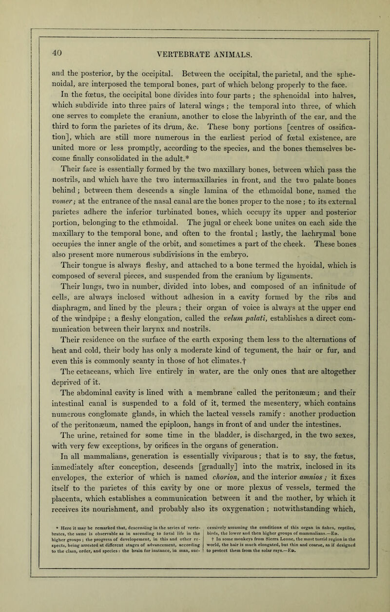 and the posterior, by the occipital. Between the occipital, the parietal, and the sphe- noidal, are interposed the temporal bones, part of which belong properly to the face. In the foetus, the occipital bone divides into four parts ; the sphenoidal into halves, which subdivide into three pairs of lateral wings ; the temporal into three, of which one serves to complete the cranium, another to close the labyrinth of the ear, and the third to form the parietes of its drum, &c. These bony portions [centres of ossifica- tion], which are still more numerous in the earliest period of foetal existence, are united more or less promptly, according to the species, and the bones themselves be- come finally consolidated in the adult.* Their face is essentially formed by the two maxillary bones, between which pass the nostrils, and which have the two intermaxillaries in front, and the two palate bones behind; between them descends a single lamina of the ethmoidal bone, named the vomer; at the entrance of the nasal canal are the bones proper to the nose ; to its external parietes adhere the inferior turbinated bones, which occupy its upper and posterior portion, belonging to the ethmoidal. The jugal or cheek bone unites on each side the maxillary to the temporal bone, and often to the frontal; lastly, the lachrymal bone occupies the inner angle of the orbit, and sometimes a part of the cheek. These bones also present more numerous subdivisions in the embryo. Their tongue is always fleshy, and attached to a bone termed the hyoidal, which is composed of several pieces, and suspended from the cranium by ligaments. Their lungs, two in number, divided into lobes, and composed of an infinitude of cells, are always inclosed without adhesion in a cavity formed by the ribs and diaphragm, and lined by the pleura; their organ of voice is always at the upper end of the windpipe ; a fleshy elongation, called the velum palati, establishes a direct com- munication between their larynx and nostrils. Their residence on the surface of the earth exposing them less to the alternations of heat and cold, their body has only a moderate kind of tegument, the hair or fur, and even this is commonly scanty in those of hot climates.f The cetaceans, which live entirely in water, are the only ones that are altogether deprived of it. The abdominal cavity is lined with a membrane called the peritonaeum; and their intestinal canal is suspended to a fold of it, termed the mesentery, which contains numerous conglomate glands, in which the lacteal vessels ramify : another production of the peritonaeum, named the epiploon, hangs in front of and under the intestines. The urine, retained for some time in the bladder, is discharged, in the two sexes, with very few exceptions, by orifices in the organs of generation. In all mammalians, generation is essentially viviparous; that is to say, the foetus, immediately after conception, descends [gradually] into the matrix, inclosed in its envelopes, the exterior of which is named chorion, and the interior amnios; it fixes itself to the parietes of this cavity by one or more plexus of vessels, termed the placenta, which establishes a communication between it and the mother, by which it receives its nourishment, and probably also its oxygenation ; notwithstanding which, * Here it may be remarked that, descending; in the series of verte- cessivcly assuming the conditions of this organ in fishes, reptiles, brates, the same is observable as in ascending to fetal life in the I birds, the lower and then higher groups of mammalians.—Ed. higher groups ; the progress of developement, in this and other re- t In some monkeys from Sierra Leone, the most torrid region in the spects, being arrested at different stages of advancement, according | world, the hair is much elongated, but thin and coarse, as if designed to the class, order, and species : the brain for instance, in man, sue- I to protect them from the solar rays.—Ed.