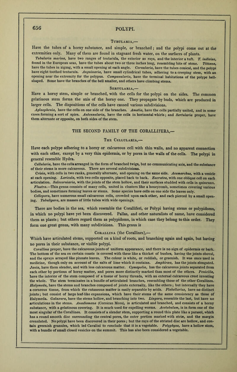 TOBtTLARlA,— Have the tubes of a horny substance, and simple, or branched; and the polypi come Out at the extremities only. Many of them are found in stagnant fresh water, on the surfaces of plants. Tubularia marina, have two ranges of tentacula, the exterior as rays, and the interior a tuft. T. indivisa, found in the European seas, have the tubes about two or three inches long, resembling bits of stone. Tibiana, have the tubes in zigzag, with a small opening at each angle. Cornularia, have the tubes conical, and the polypi have eight toothed tentacula. Anguinaria, have small cylindrical tubes, adhering to a creeping stem, with an opening near the extremity for the polypus. Campanularia, have the terminal habitations of the polype bell- shaped. Some have the branches of the bell smaller, and others have climbing stems. Sertuearia,— Have a horny stem, simple or branched, with the cells for the polypi on the sides. The common gelatinous stem forms the axis of the horny one. They propagate by buds, which are produced in larger cells. The dispositions of the cells have caused various subdivisions. Aglaophenia, have the cells on one side of the branches. Amatia, have the cells partially united, and in some cases forming a sort of spire. Antennularia, have the cells in horizontal whirls; and Sertidaria proper, have them alternate or opposite, on both sides of the stem. THE SECOND FAMILY OF THE CORALLIFERA,— The Cellularia,— Have each polype adhering to a horny or calcareous cell with thin walls, and no apparent connection with each other, except by a very thin epidermis, or by pores in the walls of the cells. The polypi in general resemble Hydra. Cellularia, have the cells arranged in the form of branched twigs, but no communicating axis, and the substance of their stems is more calcareous. There are several subdivisions. Crisia, with cells in two ranks, generally alternate, and opening on the same side. Acamarchus, with a vesicle at each opening. Loricula, with two cells opposite, placed back to back. Eucratea, with one oblique cell on each articulation. Salecorniaria, with the joints of the stem hollow, and their surfaces studded with cells in quincunx. Flustra.—This genus consists of many cells, united in clusters like a honeycomb, sometimes covering various bodies, and sometimes forming leaves or stems. Some species have cells on one side the leaves only. Cellepora, have numerous small calcareous cells, crowded upon each other, and each pierced by a small open- ing. Tubulipora, are masses of little tubes with wide openings. There are bodies in the sea, which resemble the Coralliferi, or Polypi having stems or polypidoms, in which no polypi have yet been discovered. Pallas, and other naturalists of name, have considered them as plants ; but others regard them as polypidoms, in which case they belong to this order. They form one great genus, with many subdivisions. This genus is Corallina (the Corallines),— Which have articulated stems, supported on a kind of roots, and branching again and again, but having no pores in their substance, or visible polypi. Corallina proper, have the calcareous joints of uniform appearance, and there is no sign of epidermis or bark. The bottom of the sea on certain coasts is covered with these like a thicket of bushes, having the joints oboval, and the sprays arrayed like pinnate leaves. The colour is white, or reddish, or greenish. It was once used in medicine, though only on account of the salts of lime which it contains. Amphircea, has the joints elongated. Jania, have them slender, and with less calcareous matter. Cymapolia, has the calcareous joints separated from each other by portions of horny matter, and pores more distinctly marked than most of the others. Penicilla, have the interior of the stem composed of a tissue of horny threads, with an external calcareous crest investing the whole. The stem terminates in a bundle of articulated branches, resembling those of the other Corallines. Halymeda, have the stems and branches composed of joints externally, like the others ; but internally they have a corneous tissue, from which the cutaneous matter is easily separable by acids. Flabellarius, have no distinct joints; but consist of large leaf-like expansions, which have their stems of the same consistency as those of Halymeda. Galaxura, have the stems hollow, and branching into two. Lingora, resemble the last, but have no articulations in the stems. Anadiomena (Corsican Moss), is articulated and branched, and consists of a horny substance, with a gelatinous covering. It is much used for expelling worms. Acetabulum, is in form one of the most singular of the Corallines. It consists of a slender stem, supporting a round thin plate like a parasol, which has a round smooth disc surrounding the central pores, the outer portion marked with striae, and the margin crenulated. No polypi have been discovered in their pores; but the rays of the striated disc are hollow, and con- tain greenish granules, which led Cavalini to conclude that it is a vegetable. Polyphysa, have a hollow stem, with a bundle of small closed vesicles on the summit. This has also been considered a vegetable.