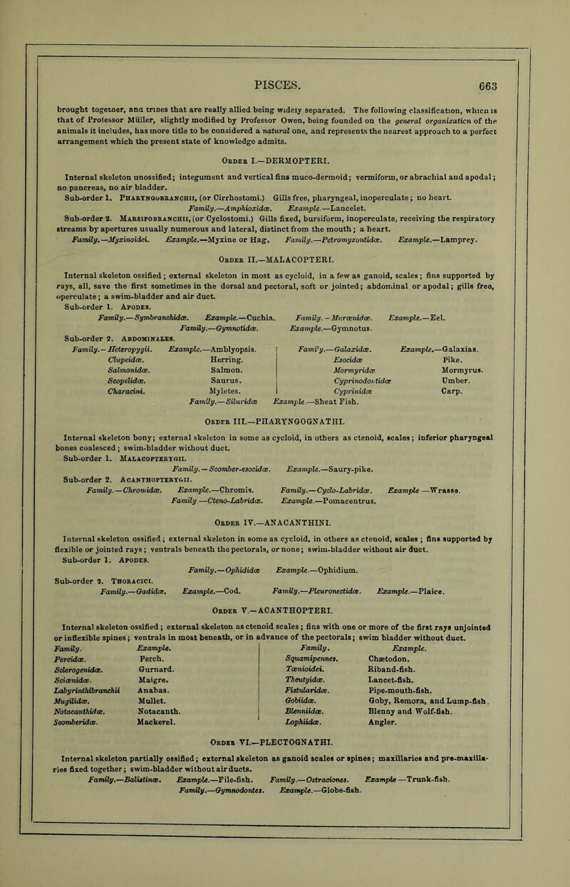 brought togetner, ana triDes that are really allied being widely separated. The following classification, whicn is that of Professor Muller, slightly modified by Professor Owen, being founded on the general organization of the animals it includes, has more title to be considered a natural one, and represents the nearest approach to a perfect arrangement which the present state of knowledge admits. Obder I.—DERMOPTERI. Internal skeleton unossified; integument and vertical fins muco-dermoid; vermiform, or abrachial and apodal; no pancreas, no air bladder. Sub-order 1. Pharyngobranchii, (or Cirrhostomi.) Gills free, pharyngeal, inoperculate; no heart. Family.—Amphioxidce. Example.—Laacelet. Sub-order 2. Marsipobranchii, (or Cyclostomi.) Gills fixed, bursiform, inoperculate, receiving the respiratory streams by apertures usually numerous and lateral, distinct from the mouth; a heart. Family.—Myxinoidei. Example.—Myxine or Hag, Family.—Petromyzontidce. Example.—Lamprey. Order II.—MALACOPTERI. Internal skeleton ossified; external skeleton in most as cycloid, in a few as ganoid, scales; fins supported by rays, all, save the first sometimes in the dorsal and pectoral, soft or jointed; abdominal or apodal; gills freo, operculate; a swim-bladder and air duct. Sub-order 1. Apodes. Family.—Symbranchidce. Example.—Cuchia. Family. — Murcenidce. Example.—Eel. Family.—Gymnotidce. Example.—Gymnotus. Sub-order 2. Abdominales. Family.- Heteropygii. Clupeidce. Salmonidae. Scopelidce. Characini. Example.—Amblyopsis. Herring. Salmon. Saurus. Myletes. Family.—Siluridce Fami'y.—Galaxidce. Esocidce Mormyridaz Cyprinodoi'tidoe Cyprinidee Example.—Sheat Fish. Example.—Galaxias. Pike. Mormyrus. Umber. Carp. Order III.—PHARYNGOGNATHI. Internal skeleton bony; external skeleton in some a9 cycloid, in others as ctenoid, scales ; inferior pharyngeal bones coalesced ; swim-bladder without duct. Sub-order 1. Malacopteryoii. Family. — Scomber-esocidce. Example.—Saury-pike. Sub-order 2. Acanthopterygii. Family.—Chromidce. Example.—Chromis. Family.—Cyclo-Labridas. Example—Wrasse. Family.—Cteno-Labridce. Example.—Pomacentrus. Order IV.—ANACANTHINI. Internal skeleton ossified ; external skeleton in some as cycloid, in others as ctenoid, scales ; fins supported by flexible or jointed rays ; ventrals beneath the pectorals, or none; swim-bladder without air duct. Sub-order 1. Apodes. Family.—Ophididce Example.—Ophidium. Sub-order 2. Thoracici. Family.—Gadidce. Example.—Cod. Family.—Pleuronectidce. Example.—Plaice. Order V.-ACANTHOPTERI. Internal skeleton ossified ; external skeleton as ctenoid scales ; fins with one or more of the first rays unjointed or inflexible spines; ventrals in most beneath, or in advance of the pectorals; swim bladder without duct. Family. Percidce. Sderogenidce. ScicenidcB. Labyrinthibranchii Mugilidce. Notacanthidcc. Soomberidcc. Example. Perch. Gurnard. Maigre. Anabas. Mullet. Notacanth. Mackerel. Family. Example. Squamipennes. Chsetodon. Tcenioidei. Riband-fish. Theutyidce. Lancet-fish. Fistvlaridce. Pipe-mouth-fish. Gobiidce. Goby, Remora, and Lump-fish. Blenniidce. Blenny and Wolf-fish. Lophiidce. Angler. Order VI.—PLECTOGNATHI. Internal skeleton partially ossified; external skeleton as ganoid scales or spines; maxillaries and pre-maxllla- ries fixed together; swim-bladder without air ducts. Family.—BalutincB. Example.—File-fish. Family.—Ostracionee. Example —Trunk-fish. Family.—Gymnodontea. Example.—Globe-fish.