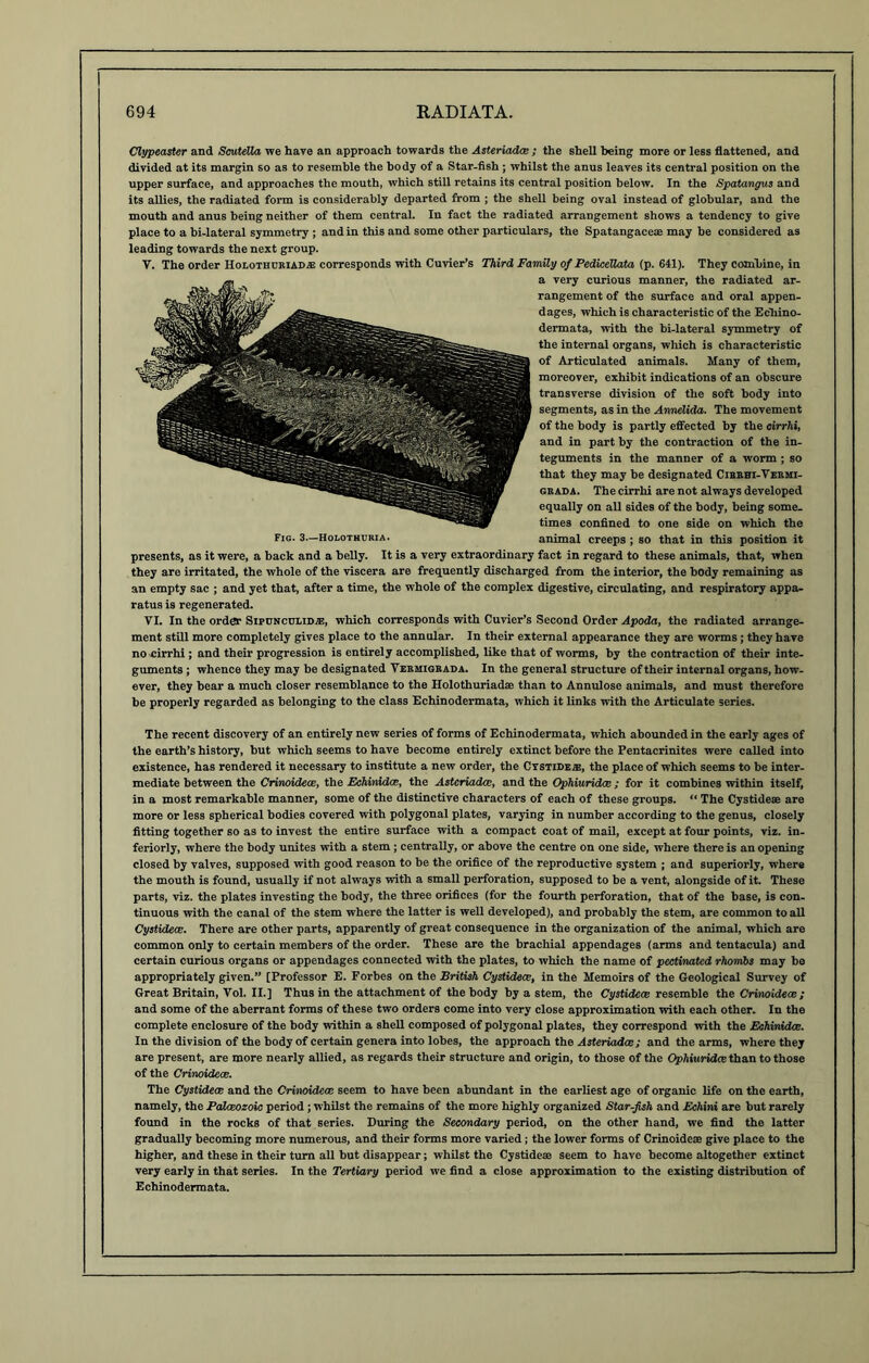 Clypeaster and Scutella we have an approach towards the Asteriadce ; the shell being more or less flattened, and divided at its margin so as to resemble the body of a Star-fish ; whilst the anus leaves its central position on the upper surface, and approaches the mouth, which still retains its central position below. In the Spatangus and its allies, the radiated form is considerably departed from ; the shell being oval instead of globular, and the mouth and anus being neither of them central. In fact the radiated arrangement shows a tendency to give place to a bi-lateral symmetry ; and in this and some other particulars, the Spatangacese may be considered as leading towards the next group. Y. The order Holothuriad® corresponds with Cuvier’s Third Family of PediceUata (p. 641). They combine, in a very curious manner, the radiated ar- rangement of the surface and oral appen- dages, which is characteristic of the Ecliino- dermata, with the bi-lateral symmetry of the internal organs, which is characteristic of Articulated animals. Many of them, moreover, exhibit indications of an obscure transverse division of the soft body into segments, as in the Annelida. The movement of the body is partly effected by the cirrhi, and in part by the contraction of the in- teguments in the manner of a worm ; so that they may be designated Cibrhi-Yermi- grada. The cirrhi are not always developed equally on all sides of the body, being some- times confined to one side on which the animal creeps ; so that in this position it presents, as it were, a back and a belly. It is a very extraordinary fact in regard to these animals, that, when they are irritated, the whole of the viscera are frequently discharged from the interior, the body remaining as an empty sac ; and yet that, after a time, the whole of the complex digestive, circulating, and respiratory appa- ratus is regenerated. VI. In the order Sipunculid®, which corresponds with Cuvier’s Second Order Apoda, the radiated arrange- ment still more completely gives place to the annular. In their external appearance they are worms ; they have no cirrhi ; and their progression is entirely accomplished, like that of worms, by the contraction of their inte- guments ; whence they may be designated Vermigrada. In the general structure of their internal organs, how- ever, they bear a much closer resemblance to the Holothuriadae than to Annulose animals, and must therefore be properly regarded as belonging to the class Echinodermata, which it links with the Articulate series. The recent discovery of an entirely new series of forms of Echinodermata, which abounded in the early ages of the earth’s history, but which seems to have become entirely extinct before the Pentacrinites were called into existence, has rendered it necessary to institute a new order, the Cystide®, the place of which seems to be inter- mediate between the Crinoidece, the Echinidce, the Asteriadce, and the Ophiuridce ; for it combines within itself, in a most remarkable manner, some of the distinctive characters of each of these groups. “ The Cystide£e are more or less spherical bodies covered with polygonal plates, varying in number according to the genus, closely fitting together so as to invest the entire surface with a compact coat of mail, except at four points, viz. in- feriorly, where the body unites with a stem ; centrally, or above the centre on one side, where there is an opening closed by valves, supposed with good reason to be the orifice of the reproductive system ; and superiorly, where the mouth is found, usually if not always with a small perforation, supposed to be a vent, alongside of it. These parts, viz. the plates investing the body, the three orifices (for the fourth perforation, that of the base, is con- tinuous with the canal of the stem where the latter is well developed), and probably the stem, are common to all Cystidece. There are other parts, apparently of great consequence in the organization of the animal, which are common only to certain members of the order. These are the brachial appendages (arms and tentacula) and certain curious organs or appendages connected with the plates, to which the name of pectinated rhombs may be appropriately given.” [Professor E. Forbes on the British Cystidece, in the Memoirs of the Geological Survey of Great Britain, Vol. II.] Thus in the attachment of the body by a stem, the Cystidece resemble the Crinoidece; and some of the aberrant forms of these two orders come into very close approximation with each other. In the complete enclosure of the body within a shell composed of polygonal plates, they correspond with the Echinidce. In the division of the body of certain genera into lobes, the approach the Asteriadce ; and the arms, where they are present, are more nearly allied, as regards their structure and origin, to those of the Ophiuridce than to those of the Crinoidece. The Cystidece and the Crinoidece seem to have been abundant in the earliest age of organic life on the earth, namely, the Palceozoic period ; whilst the remains of the more highly organized Star-fish and Echini are but rarely found in the rocks of that series. During the Secondary period, on the other hand, we find the latter gradually becoming more numerous, and their forms more varied ; the lower forms of Crinoidese give place to the higher, and these in their turn all but disappear; whilst the Cystideae seem to have become altogether extinct very early in that series. In the Tertiary period we find a close approximation to the existing distribution of Echinodermata.