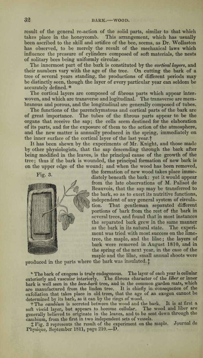 result of the general re-action of the solid parts, similar to that which takes place in the honeycomb. This arrangement, which has usually been ascribed to the skill and artifice of the bee, seems, as Dr. Wollaston has observed, to be merely the result of the mechanical laws which influence the pressure of cylinders composed of soft materials, the nests of solitary bees being uniformly circular. The innermost part of the bark is constituted by the cortical layers, and their numbers vary with the age of the tree. On cutting the bark of a tree of several years standing, the productions of different periods may be distinctly seen, though the layer of every particular year can seldom be accurately defined. * The cortical layers are composed of fibrous parts which appear inter- woven, and which are transverse and logitudinal. The transverse are mem- branous and porous, and the longitudinal are generally composed of tubes. The functions of the parenchymatous and cortical parts of the bark are of great importance. The tubes of the fibrous parts appear to be the organs that receive the sap; the cells seem destined for the elaboration of its parts, and for the exposure of them to the action of the atmosphere, and the new matter is annually produced in the spring, immediately on the inner surface of the cortical layer of the last year.f It has been shewn by the experiments of Mr. Knight, and those made by other physiologists, that the sap descending through the bark after being modified in the leaves, is the principal cause of the growth of the tree; thus if the bark is wounded, the principal formation of new bark is on the upper edge of the wound; and when the wood has been removed, the formation of new wood takes place imme- diately beneath the bark: yet it would appear from the late observations of M. Palisot de Beauvois, that the sap may be transferred to the bark, so as to exert its nutritive functions, independent of any general system of circula- tion. That gentleman separated different portions of bark from the rest of the bark in several trees, and found that in most instances the separated bark grew in the same manner as the bark in its natural state. The experi- ment was tried with most success on the lime- tree, the maple, and the lilac; the layers of bark were removed in August 1810, and in the spring of the next year, in the case of the maple and the lilac, small annual shoots were produced in the parts where the bark was insulated. J * The bark of exogens is truly endogenous. The layer of each year is cellular exteriorly and vascular interiorly. The fibrous character of the liber or inner bark is well seen in the lace-bark tree, and in the common garden mats, which are manufactured from the linden tree. It is chiefly in consequence of the exfoliation that takes place in old trees, that the age of an exogen cannot be determined by its bark, as it can by the rings of wood. f The cambium is secreted between the wood and the bark. It is at first a soft viscid layer, but appears to become cellular. The wood and liber are generally believed to originate in the leaves, and to be sent down through the cambium, from the first in two independent sets of vessels. $ Fig. 3 represents the result of the experiment on the maple. Journal de Physique, September 1811, page 210.—D. Fig. 3.