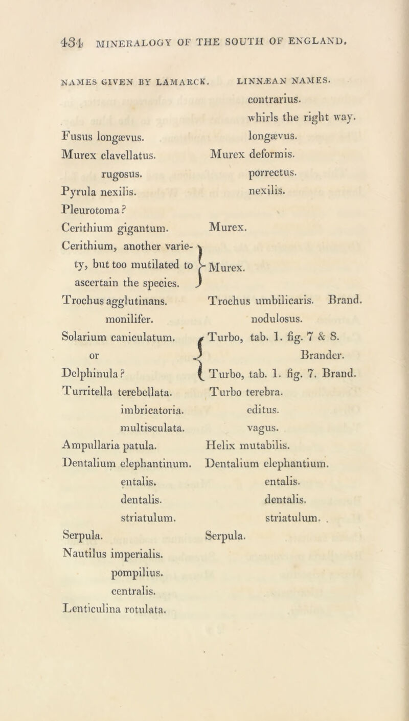 NAMES GIVEN BY LAMARCK. Fusus longævus. Murex clavellatus. LINNÆAN NAMES, contrarius. whirls the right way longævus. Murex deform is. { rugosus. porrectus. Pyrula nexilis. nexilis. Pleurotoma ? Cerithium gigantum. Murex. Cerithium, another varie- \ ty, but too mutilated to > Murex, ascertain the species. Trochus agglutinans. monilifer. Solarium caniculatum. or Dclphinula ? Turritella terebellata. imbricatoria. multisculata. Ampullaria patula. Dentalium elephantinum. entalis. dentalis. striatulum. Serpula. Serpula. Nautilus imperialis. pompilius. centralis. Lenticulina rotulata. Trochus umbilicaris. Brand, nodulosus. Turbo, tab. 1. fig. 7 & 8. Brandcr. Turbo, tab. 1. fig. 7. Brand. Turbo terebra. editus. vaçus. Helix mutabilis. Dentalium elephantium. entalis. dentalis. striatulum. .