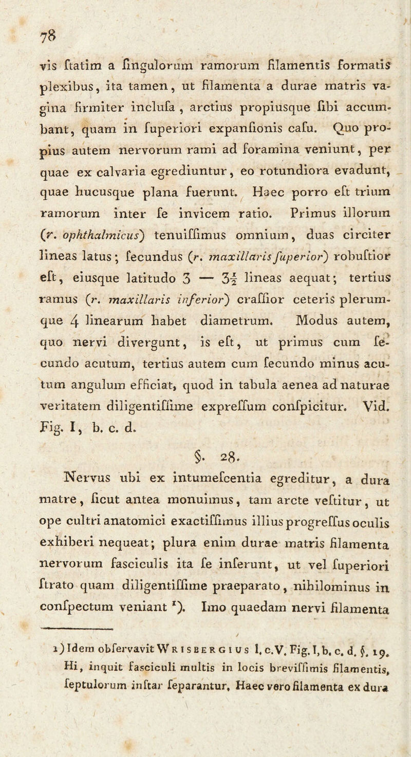 vis ftatim a Ungulorum ramorum filamentis formatis plexibus, ita tamen, ut filamenta a durae matris va¬ gina firmiter inclufa , arctius propiusque libi accum- <0 bant, quam in fuperiori expanfionis cafu. Quo pro- pius autem nervorum rami ad foramina veniunt, per quae ex calvaria egrediuntur, eo rotundiora evadunt, quae hucusque plana fuerunt. Haec porro eft trium ramorum inter fe invicem ratio. Primus illorum (r. ophthalmicus) tenuiffimus omnium, duas circiter lineas latus *, fecundus (r. maxillaris fuperior) robuftior eft, eiusque latitudo 3 — 3i lineas aequat; tertius ramus (r. maxillaris inferior') craffior ceteris plerum¬ que 4 linearum habet diametrum. Modus autem, quo nervi divergunt, is eft, ut primus cum fe¬ cundo acutum, tertius autem cum fecundo minus acu¬ tum angulum efficiat, quod in tabula aenea ad naturae veritatem diligentiflime expreffum confpicitur. Vid. Fig. I, b. c. d. §• 28. Nervus ubi ex intumefcentia egreditur, a dura matre, ficut antea monuimus, tam arcte veftitur, ut ope cultri anatomici exactiffimus illiusprogreffusoculis exhiberi nequeat; plura enim durae matris filamenta nervorum fasciculis ita fe inferunt, ut vel fuperiori ftrato quam diligentiflime praeparato, nihilominus in confpectum veniant *). Imo quaedam nervi filamenta obfervavit W risbergius 1. c.V. Fig. I,b. c. d. §t 19. Hi, inquit fasciculi multis in locis breviffimis filamentis, feptulorum inftar feparantur, Haec vero filamenta ex dura