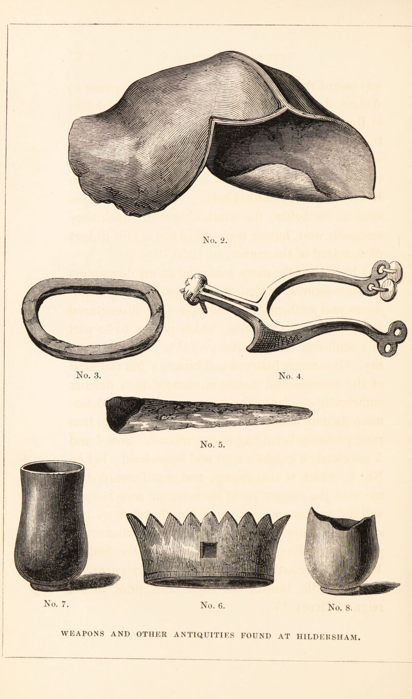 WEAPONS AND OTHER ANTIQUITIES FOUND AT HILDEIJSHAM