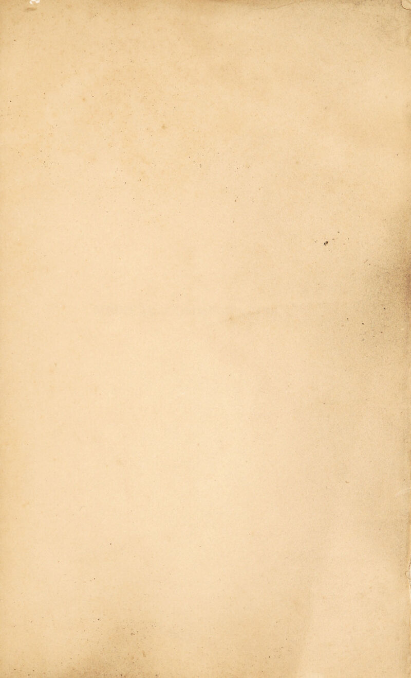 ■I ■'■i ;-C ■w v'vJ»g| :i .^- i -i