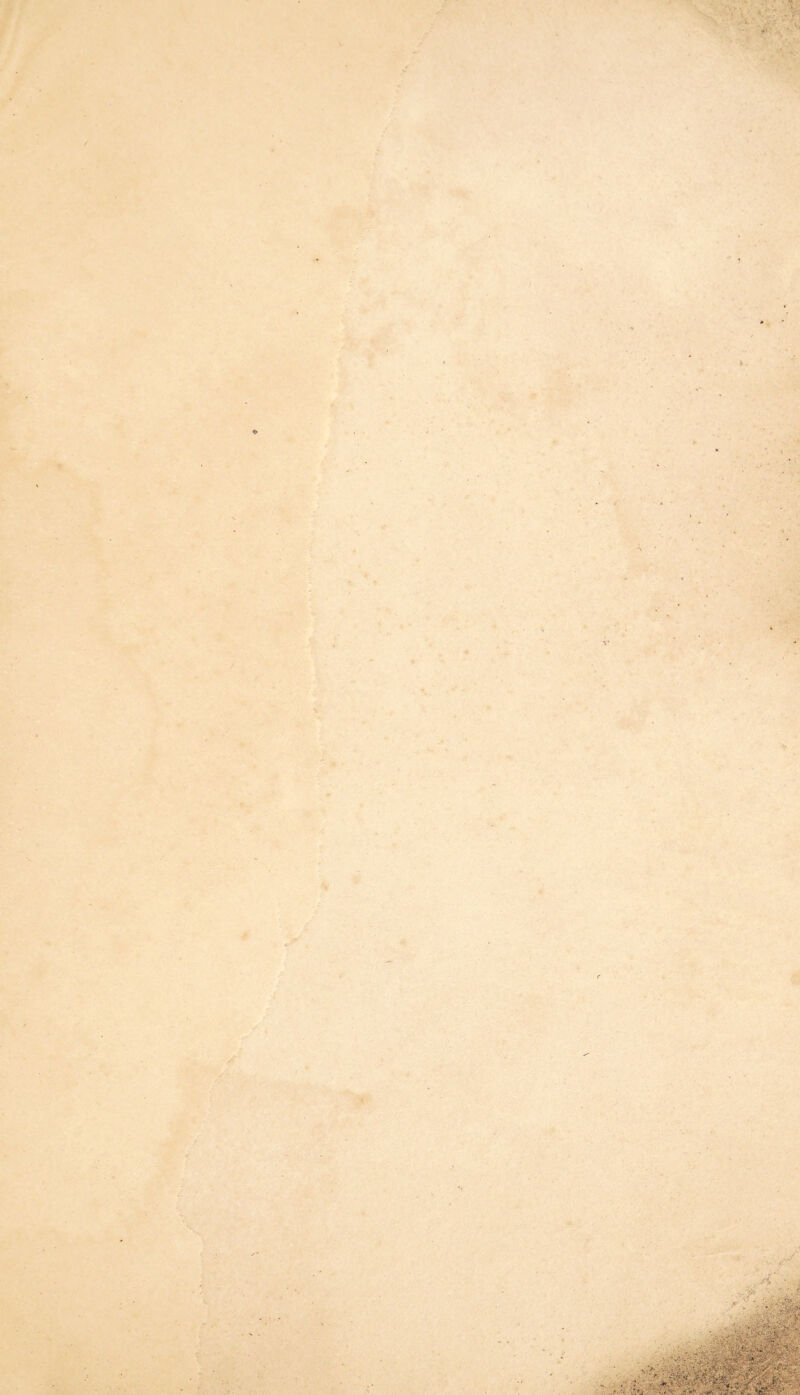 , ^ ;>• •’w . } r ♦ V