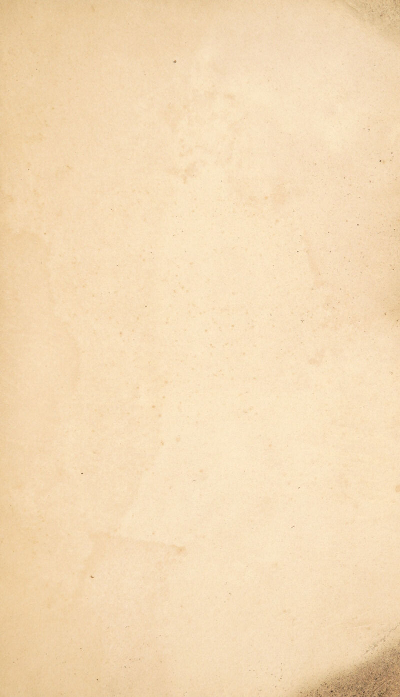 *» . -1>- ' ^ . H V f € i