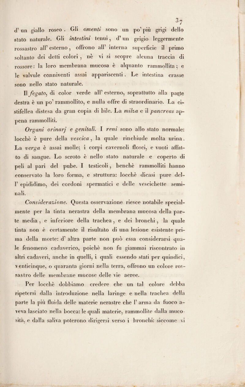 cP un giallo roseo . Gli omenti sono un po’ più grigi dello stato naturale. Gli intestini tenui , d’un grigio leggermente rossastro all’ esterno, offrono all’ interna superficie il primo soltanto dei detti colori , nè vi si scopre alcuna traccia di rossore: la loro membrana mucosa è alquanto rammollita} e le valvule conniventi assai appariscenti. Le intestina crasse sono nello stato naturale. Il fegato, di color verde all’ esterno, soprattutto alla parte destra è un po’ rammollito, e nulla offre di straordinario. La ci¬ stifellea distesa da gran copia di bile. La milza e il pancreas ap¬ pena rammolliti. Organi orinarj e genitali. I reni sono allo stato normale: loccbè è pure della vescica , la quale rinchiude molta urina. La verga è assai molle} i corpi cavernoli flosci, e vuoti affat¬ to di sangue. Lo scroto è nello stato naturale e coperto di peli al pari del pube. I testicoli, benché rammolliti hanno conservato la loro forma, e struttura: locchè dicasi pure del- 1’ epididimo, dei cordoni spermatici e delle vescichette semi¬ nali. Considerazione. Questa osservazione riesce notabile special- mente per la tinta nerastra della membrana mucosa della par¬ te media , e inferiore della trachea, e dei bronchi , la quale tinta non è certamente il risultato di una lesione esistente pri¬ ma della morte: d’ altra parte non può essa considerarsi qua¬ le fenomeno cadaverico, poiché non fu giammai riscontrato in altri cadaveri, anche in quelli, i quali essendo stati per quindici, venticinque, o quaranta giorni nella terra, offrono un colore ros¬ sastro delle membrane mucose delle vie aeree. Per locchè dobbiamo credere che un tal colore debba ripetersi dalla introduzione nella laringe e nella trachea della parte la più fluida delle materie nerastre che 1’ arma da fuoco a- veva lasciato nella bocca: le quali materie, rammollite dalla muco¬