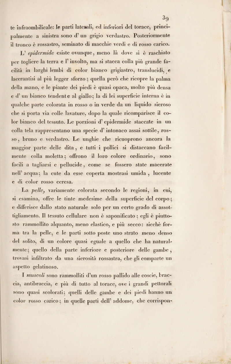 tc infiaombilicale: le parti laterali, ed inferiori del torace, princi- palmento a sinistra sono d’ un grigio verdastro. Posteriormente ii tronco è rossastro, seminato di macchie verdi e di rosso carico. L’ epidermide esiste ovunque, meno là dove si è raschiato per togliere la terra e l’involto, ma si stacca colla più grande fa¬ cilità in larghi lembi di color bianco grigiastro, translucidi, e lacerantisi al più legger sforzo } quella però che ricopre la palma della mano, e le piante dei piedi è quasi opaca, molto più densa e d’ un bianco tendente al giallo} la di lei superficie interna è in qualche parte colorata in rosso o in verde da un liquido sieroso che si porta via colle lavature, dopo la quale ricomparisce il co¬ lor bianco del tessuto. Le porzioni d’ epidermide staccate in un colla tela rappresentano una specie d’intonaco assai sottile, ros¬ so , bruno e verdastro. Le unghie che ricuoprono ancora la maggior parte delle dita , e tutti i pollici si distaccano facil¬ mente colla moietta 5 offrono il loro colore ordinario, sono facili a tagliarsi e pellucide, come se fossero state macerate nell’ acqua} la cute da esse coperta mostrasi umida , lucente e di color rosso ceresa. La pellej variamente colorata secondo le regioni, in cui, si esamina, offre le tinte medesime della superficie del corpo} e differisce dallo stato naturale solo per un certo grado di assot¬ tigliamento. Il tessuto cellulare non è saponificato 5 egli è piutto¬ sto rammollito alquanto, meno elastico, e più secco: sicché for¬ ma tra la pelle, e le parti sotto poste uno strato meno denso del solito, di un colore quasi eguale a quello che ha natural¬ mente} quello della parte inferiore e posteriore delle gambe, trovasi infiltrato da una sierosità rossastra, che gli comparte un aspetto gelatinoso. I muscoli sono rammolliti d’un rosso pallido alle coscie, brac¬ cia, antibraccia, e più di tutto al torace, ove i grandi pettorali sono quasi scolorati: quelli delle gambe e dei piedi hanno un color rosso carico} in quelle parti dell’ addome, che corrispon-