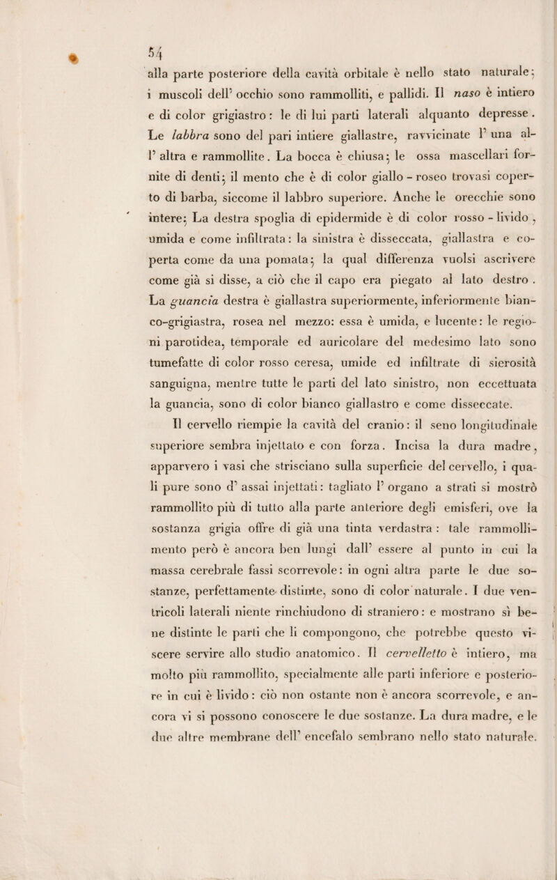 alla parte posteriore delia cavità orbitale è nello stato naturale; i muscoli dell' occhio sono rammolliti, e pallidi. Il naso è intiero e di color grigiastro : le di lui parti laterali alquanto depresse . Le labbra sono del pari intiere giallastre, ravvicinate 1 una al- 1’ altra e rammollite. La bocca è chiusa} le ossa mascellari for¬ nite di denti} il mento che è di color giallo - roseo trovasi coper¬ to di barba, siccome il labbro superiore. Anche le orecchie sono intere} La destra spoglia di epidermide è di color rosso - livido , umida e come infiltrata : la sinistra è disseccata, giallastra e co¬ perta come da una pomata} la qual differenza vuoisi ascrivere come già si disse, a ciò che il capo era piegato al lato destro . La guancia destra è giallastra superiormente, inferiormente bian¬ co-grigiastra, rosea nel mezzo: essa è umida, e lucente: le regio¬ ni parotidea, temporale ed auricolare del medesimo lato sono tumefatte di color rosso ceresa, umide ed infiltrate di sierosità sanguigna, mentre tutte le parti del lato sinistro, non eccettuata la guancia, sono di color bianco giallastro e come disseccate. Il cervello riempie la cavità del cranio: il seno longitudinale superiore sembra injettato e con forza. Incisa la dura madre, apparvero i vasi che strisciano sulla superfìcie del cervello, i qua¬ li pure sono d' assai injettati: tagliato !’ organo a strati si mostrò rammollito più di tutto alla parte anteriore degli emisferi, ove la sostanza grigia offre di già una tinta verdastra : tale rammolli¬ mento però è ancora ben lungi dall’ essere al punto in cui la massa cerebrale fassi scorrevole: in ogni altra parte le due so¬ stanze, perfettamente distinte, sono di color naturale. I due ven¬ tricoli laterali niente rinchiudono di straniero: e mostrano sì be¬ ne distinte le parti che li compongono, che potrebbe questo vi¬ scere servire allo studio anatomico, il cervelletto è intiero, ma molto più rammollito, specialmente alle parti inferiore e posterio¬ re in cui è livido: ciò non ostante non è ancora scorrevole, e an¬ cora vi si possono conoscere le due sostanze. La dura madre, e le due altre membrane dell’ encefalo sembrano nello stato naturale.