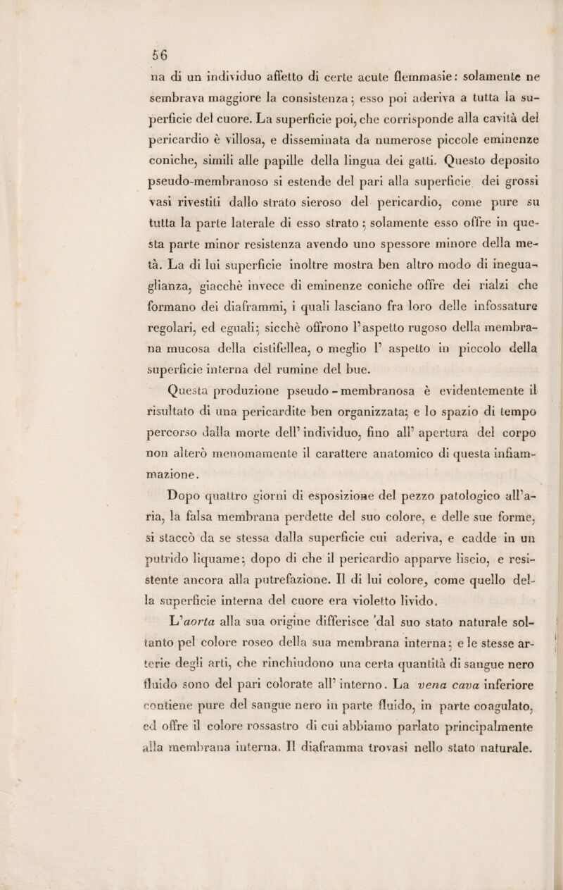 na di un individuo affetto di certe acute flemmasie: solamente ne sembrava maggiore la consistenza } esso poi aderiva a tutta la su¬ perficie del cuore. La superficie poi, che corrisponde alla cavità del pericardio è villosa, e disseminata da numerose piccole eminenze coniche, simili alle papille della lingua dei gatti. Questo deposito pseudo-membranoso si estende del pari alla superficie dei grossi vasi rivestiti dallo strato sieroso del pericardio, come pure su tutta la parte laterale di esso strato } solamente esso offre in que¬ sta parte minor resistenza avendo uno spessore minore della me¬ tà. La di lui superficie inoltre mostra ben altro modo di inegua¬ glianza, giacche invece di eminenze coniche offre dei rialzi che formano dei diaframmi, i quali lasciano fra loro delle infossature regolari, ed eguali} sicché offrono l’aspetto rugoso della membra¬ na mucosa della cistifellea, o meglio 1’ aspetto in piccolo della superficie interna del rumine del bue. Questa produzione pseudo - membranosa è evidentemente il risultato di una pericardite ben organizzata} e lo spazio di tempo percorso dalla morte dell’ individuo, fino all’ apertura del corpo non alterò menomamente il carattere anatomico di questa infiam¬ mazione. Dopo quattro giorni di esposizione del pezzo patologico all’a¬ ria, la falsa membrana perdette del suo colore, e delle sue forme, si staccò da se stessa dalla superficie cui aderiva, e cadde in un putrido liquame} dopo di che il pericardio apparve liscio, e resi¬ stente ancora alla putrefazione. Il di lui colore^ come quello del¬ la superficie interna del cuore era violetto livido. Uaorta alla sua origine differisce dal suo stato naturale sol¬ tanto pel colore roseo della sua membrana interna; eie stesse ar¬ terie degli arti, che rinchiudono una certa quantità di sangue nero fluido sono del pari colorate all’ interno. La vena cava inferiore contiene pure del sangue nero in parte fluido, in parte coagulato, ed offre il colore rossastro di cui abbiamo parlato principalmente alla membrana interna. Il diaframma trovasi nello stato naturale.