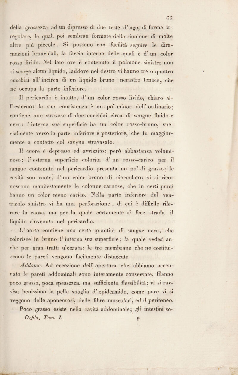 della grossezza ad un dipresso dì due teste d’ ago, di forma ir¬ regolare, le quali poi sembran formate dalla riunione di molte altre più piccole . Si possono con facilità seguire le dira¬ mazioni bronchiali, la faccia interna delle quali è d’ un color rosso livido. Nel lato ove è contenuto il polmone sinistro non si scorge alcun liquido, laddove nel destro vi hanno tre o quattro cucchiai aìP incirca di un liquido bruno nerastro tenace, che ne occupa la parte inferiore. Il pericardio è intatto, d' un color rosso livido, chiaro al- V esterno; la sua consistenza è un pò” minor dell’ordinario* contiene uno stravaso di due cucchiai circa di sangue fluido e nero: l’interna sua superficie ha un color rosso-bruno, spe- i j 1 cialmente verso la parte inferiore e posteriore, ohe fu maggior¬ mente a contatto col sangue stravasato. t ; Il cuore è depresso ed avvizzito; però abbastanza volumi¬ noso; l’esterna superficie colorita d’ un rosso-carico per il sangue contenuto nel pericardio presenta un po’ di grasso: le cavità son vuote, d’un color bruno di cioccolato.* vi si rico¬ noscono manifestamente le colonne carnose, che in certi punti hanno un color meno carico. Nella parte inferiore del ven¬ tricolo sinistro vi ha una perforazione , di cui è difficile rile¬ vare la causa, ma per la quale certamente sì fece strada il liquido rinvenuto nel pericardio. L’ aorta contiene una certa quantità di sangue nero, che colorisce in bruno l’interna sua superficie5 la quale vedesi an¬ che per gran tratti ulcerata; le tre membrane che ne costitui¬ scono le pareti vengono facilmente distaccate. Addome. Ad eccezione dell’ apertura che abbiamo accen¬ nato le pareti addominali sono interamente conservate. Hanno poco grasso, poca spessezza, ma sufficiente flessibilità; vi si rav¬ visa benissimo la pelle spoglia d’ epidermide, come pure vi si veggono delle aponeurosi, delle fibre muscolari, ed il peritoneo. Poco grasso esiste nella cavità addominale5 gli intestini so- OrJday Tom. 1 g 9