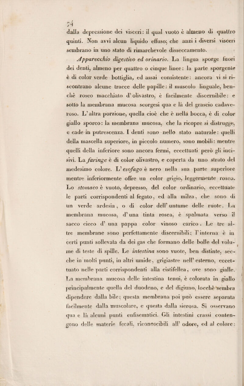 dalla depressione dei visceri: il qual vuoto è almeno di quattro quinti. Non avvi alcun liquido effuso^ che anzi i diversi visceri sembrano in uno stato di rimarchevole disseccamento. Apparecchio digestivo ed orinario. La lingua sporge fuori dei denti, almeno per quattro o cinque linee: la parte sporgente è di color verde bottiglia, ed assai consistente : ancora vi si ri¬ scontrano alcune tracce delle papille : il muscolo linguale, ben¬ ché roseo macchiato d’olivastro, è facilmente discernibile: e sotto la membrana mucosa scorgesi qua e là del grascio cadave- roso. L’altra porzione, quella cioè che è nella bocca, è di color giallo sporco: la membrana mucosa, che la ricopre si distrugge, e cade in putrescenza. I denti sono nello stato naturale: quelli della mascella superiore, in piccolo numero, sono mobili: mentre quelli della inferiore sono ancora fermi, eccettuati però gli inci¬ sivi. La faringe è di color olivastro, e coperta da uno strato del medesimo colore. esofago è nero nella sua parte superiore mentre inferiormente offre un color grigio, leggermente roseo. Lo stomaco è vuoto, depresso, del color ordinario, eccettuate le parti corrispondenti al fegato, ed alla milza, che sono di un verde ardesia, o di color dell’ untume delle ruote. La membrana mucosa, d’una tinta rosea, è spalmata verso il sacco cieco d’ una pappa color vinoso carico . Le tre al¬ tre membrane sono perfettamente discernibili; l’interna è in certi punti sollevata da dei gas che formano delle bolle del volu¬ me di teste di spille. Le intestina sono vuote, ben distinte, sec¬ che in molti punti, in altri umide, grigiastre nell’esterno, eccet¬ tuato nelle parti corrispondenti alla cistifellea, ove sono gialle. La membrana mucosa delle intestina tenui, è colorata in giallo principalmente quella del duodeno, e del digiuno, locchè ‘sembra dipendere dalla bile:: questa membrana poi può essere separata facilmente dalla muscolare, e questa dalla sierosa. Si osservano qua e là alcuni punti enfisematici. Gli intestini crassi conten¬ gono delle materie fecali, riconoscibili all’ odore, ed al colore: