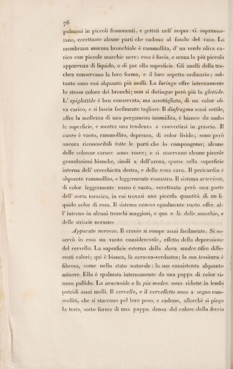 polmoni in piccoli frammenti, e gettati nell’ acqua vi sopranuo¬ tano, eccettuate alcune parti che cadono al fondo del vaso. La membrana mucosa bronchiale è rammollita, d’ un verde oliva ca¬ rico con piccole macchie nere: essa è liscia, e senza la più piccola apparenza di liquido, o di gaz alla superficie. Gli anelli della tra¬ chea conservano la loro forma, e il loro aspetto ordinario : sol¬ tanto sono essi alquanto più molli. La laringe offre internamente lo stesso colore dei bronchi 5 non si distingue però più la glottide. L epiglottide è ben conservata, ma assottigliata, di un color oli¬ va carico, e si lascia facilmente tagliare. Il diafragma assai sottile, offre la mollezza di una pergamena inumidita, è bianco da ambo le superfìcie, e mostra una tendenza a convertirsi in grascio. Il cuore è vuoto, rammollito, depresso, di color livido ^ sono però ancora riconoscibili tutte le parti che lo compongono} alcune delle colonne carnee sono rosee} e si osservano alcune piccole granulazioni bianche, simili a dell’arena, sparse sulla superficie interna dell’ orecchietta destra, e della vena cava. Il pericardio è alquanto rammollito, e leggermente rossastro. Il sistema arterioso, di color leggermente roseo è vuoto, eccettuata però una parte dell’ aorta toracica, in cui trovasi una piccola quantità di un li quido color di rosa. Il sistema venoso egualmente vuoto offre al- l’interno in alcuni tronchi maggiori, e qua e là delle macchie, e delle striscie nerastre. Apparato nervoso. Il cranio si rompe assai facilmente. Si os¬ servò in esso un vuoto considerevole, effetto della depressione del cervello. La superfìcie esterna della dura madre offre diffe¬ renti colori} qui è bianca, là ocracea-verdastra} la sua tessitura è fibrosa, come nello stato naturale : la sua consistenza alquanto minore. Ella è spalmata internamente da una pappa di color vi¬ noso pallido. La aracnoide e la pia madre sono ridotte in lembi putridi assai molli, li cervello, e il cervelletto sono a segno ram¬ molliti, che si staccano pel loro peso, e cadono, allorché si piega la testa, sotto forma di una pappa densa del colore delia feccia