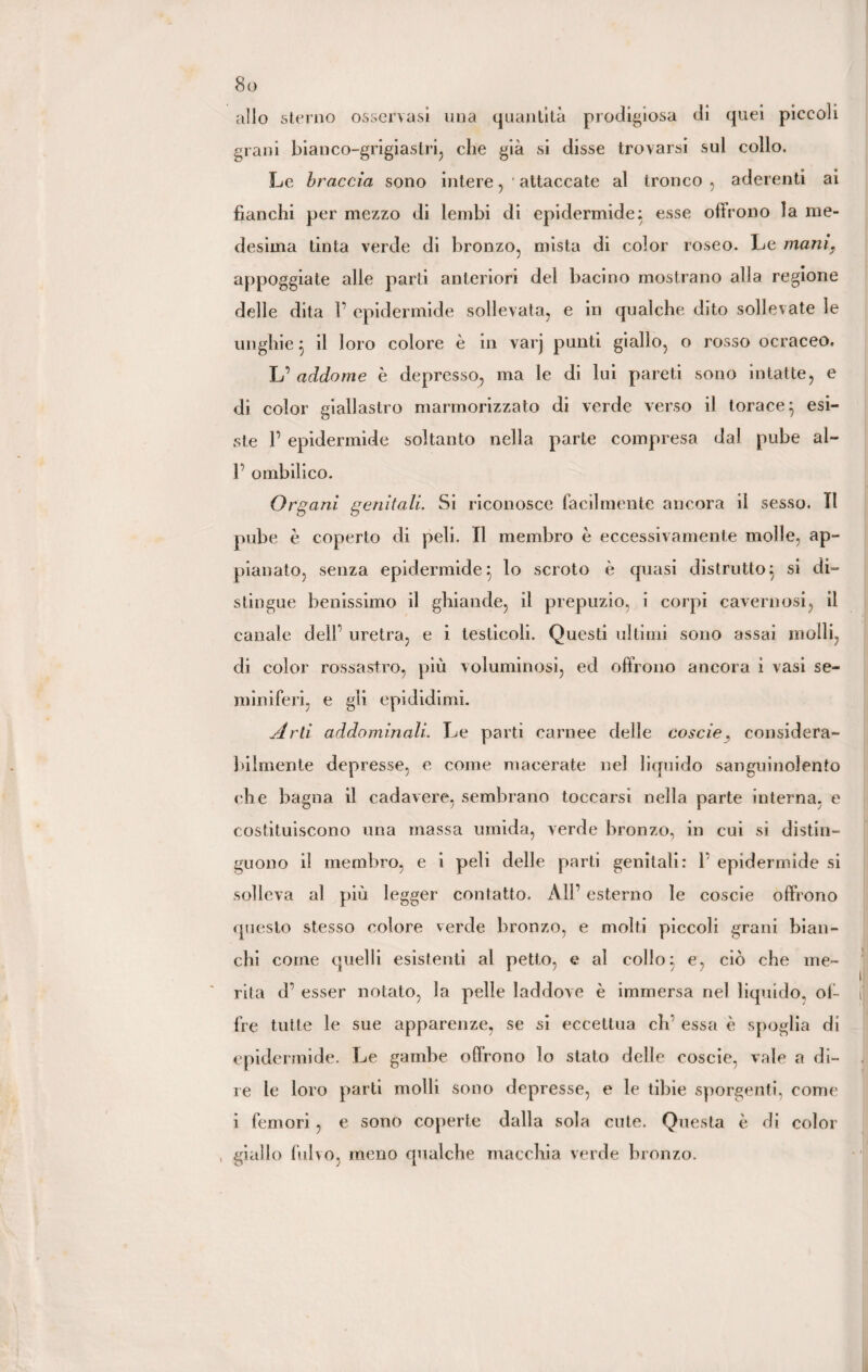 allo sterno osservasi una quantità prodigiosa di quei piccoli grani bianco-grigiastri, die già si disse trovarsi sul collo. Le braccia sono intere, 'attaccate al tronco , aderenti ai fianchi per mezzo di lembi di epidermide} esse offrono la me¬ desima tinta verde di bronzo, mista di color roseo. Le mani\ appoggiate alle parti anteriori del bacino mostrano alla regione delle dita P epidermide sollevata, e in qualche dito sollevate le unghie} il loro colore è in varj punti giallo, o rosso ocraceo. L’ addome è depresso, ma le di lui pareti sono intatte, e di color giallastro marmorizzato di verde verso il torace} esi¬ ste P epidermide soltanto nella parte compresa dal pube al- P ombilico. Organi genitali. Si riconosce facilmente ancora il sesso. TI pube è coperto di peli. Il membro è eccessivamente molle, ap¬ pianato, senza epidermide} lo scroto è quasi distrutto} si di¬ stingue benissimo il ghiande, il prepuzio, i corpi cavernosi, il canale delP uretra, e i testicoli. Questi ultimi sono assai molli, di color rossastro, più voluminosi, ed offrono ancora ì vasi se¬ miniferi, e gli epididimi. Arti addominali. Le parti carnee delle coscie, considera- bilmente depresse, e come macerate nel liquido sanguinolento che bagna il cadavere, sembrano toccarsi nella parte interna, e costituiscono una massa umida, verde bronzo, in cui si distin¬ guono il membro, e i peli delle parti genitali: P epidermide si solleva al più legger contatto. À1P esterno le coscie offrono questo stesso colore verde bronzo, e molti piccoli grani bian¬ chi come quelli esistenti al petto, e al collo:, e, ciò che me¬ li rita d’ esser notato, la pelle laddove è immersa nel liquido, of- | fre tutte le sue apparenze, se si eccettua clr essa è spoglia di epidermide. Le gambe offrono lo stato delle coscie, vale a di- . re le loro parti molli sono depresse, e le tibie sporgenti, come i femori , e sono coperte dalla sola cute. Questa è di color , giallo fulvo, meno qualche macchia verde bronzo.