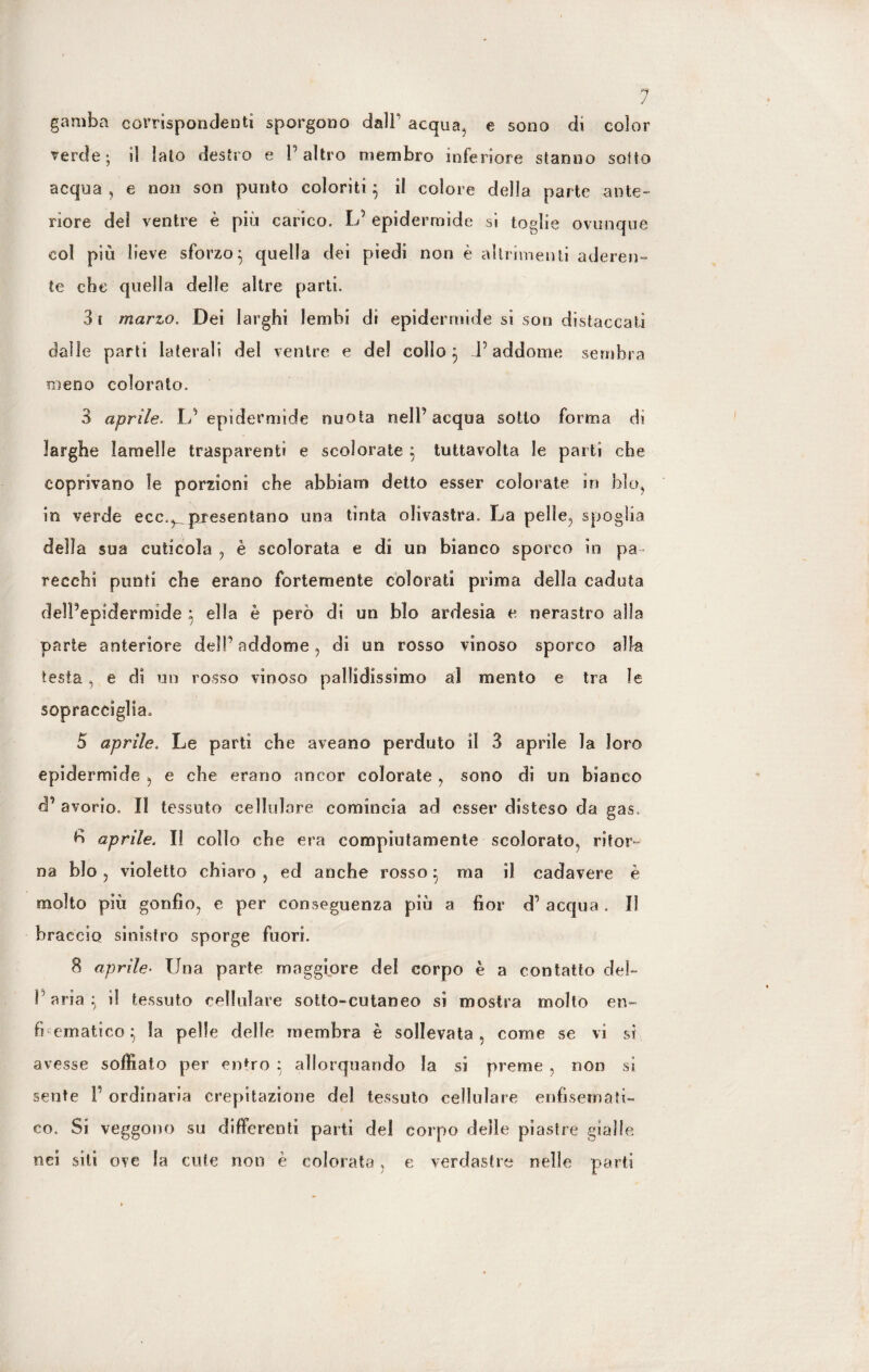 gamba corrispondenti sporgono dalF acqua, e sono eli color verde; il iato destro e l’altro membro inferiore stanno sotto acqua , e non son punto coloriti } il colore della parte ante- riore del ventre è più carico. L’ epidermide si toglie ovunque col più lieve sforzo} quella dei piedi non è altrimenti aderen¬ te ebe quella delle altre parti. 3t marzo. Dei larghi lembi di epidermide sì son distaccati dalle parti laterali del ventre e del collo} l’addome sembra meno colorato. 3 aprile. L’epidermide nuota nell’acqua sotto forma dì larghe lamelle trasparenti e scolorate } tuttavolta le parti che coprivano le porzioni che ab hi am detto esser colorate in blo, in verde ecc.,__ presentano una tinta olivastra. La pelle, spoglia della sua cuticola , è scolorata e di un bianco sporco in pa recehi punti che erano fortemente colorati prima della caduta dell’epidermide } ella è però di un blo ardesia e nerastro alla parte anteriore del!’ addome, di un rosso vinoso sporco olla testa, e di un rosso vinoso pallidissimo al mento e tra le sopracciglia, 5 aprile. Le parti che aveano perduto il 3 aprile la loro epidermide , e che erano ancor colorate, sono di un bianco cV avorio. Il tessuto cellulare comincia ad esser disteso da gas. aprile. Il collo che era compiutamente scolorato, ritor¬ na blo, violetto chiaro , ed anche rosso } ma il cadavere è molto più gonfio, e per conseguenza più a fior d’ acqua. Il braccio sinistro sporge fuori. 8 aprile• Una parte maggiore del corpo è a contatto deb Paria} il tessuto cellulare sotto-cutaneo sì mostra molto en¬ fi ematico} la pelle delle membra è sollevata, come se vi si avesse soffiato per entro } allorquando la si preme , non si sente F ordinaria crepitazione del tessuto cellulare enfisematb co. Si veggono su differenti parti del corpo delle piastre gialle nei siti ove la cute non è colorata, e verdastre nelle parti