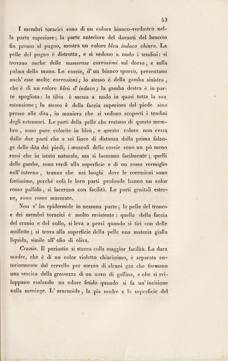 S3 I membri toracici sono di un colore bianco-verdastro nel¬ la parte superiore:, la parte anteriore del davanti del braccio fin presso al pugno, mostra un colore bleu indaco chiaro. La pelle del pugno è distrutta, e si vedono a nudo i tendini : si trovano anche delle numerose corrosioni sul dorso, e sulla palma della mano. Le coscie, d’ un bianco sporco, presentano aneli’ esse molte corrosioni $ lo stesso è della gamba sinistra , che è di un colore bleù dd indaco $ la gamba destra è in par¬ te spogliata : la tibia è messa a nudo in quasi tutta la sua estensione } Io stesso è della faccia superiore del piede sino presso alle dita, in maniera che si vedono scoperti i tendini degli estensori. Le parti della pelle che restano di questo mem¬ bro , sono pure colorite in bleù , e questo colore non cessa dalle due parti che a sei linee di distanza dalla prima falan¬ ge delle dita dei piedi} i muscoli delle coscie sono un pò meno rossi ehe in istato naturale, ma si lacerano facilmente } quelli delle gambe, sono verdi alla superficie e di un rosso vermiglio nell’ interno , tranne che nei luoghi dove le corrosioni sono fortissime, perchè colà le loro parti profonde hanno un color rosso pallido , si lacerano con facilità. Le parti genitali ester¬ ne, sono come macerate. Non v’ ha epidermide in nessuna parte} la pelle del tronco e dei membri toracici è molto resistente : quella della faccia del cranio e del collo, si leva a pezzi quando si tiri con delle mollette} si trova alla superficie della pelle una materia gialla liquida, simile all’ olio di oliva. Cranio. Il periostio si stacca colla maggior facilità. La dura madre, che è di un color violetto chiarissimo, è separata an¬ teriormente dal cervello per mezzo di alcuni gaz che formano una vescica della grossezza di un uovo di gallina, e che si svi¬ luppano esalando un odore fetido quando si fa un’ incisione nella meninge. L’aracnoide, la pia madre e la superficie del