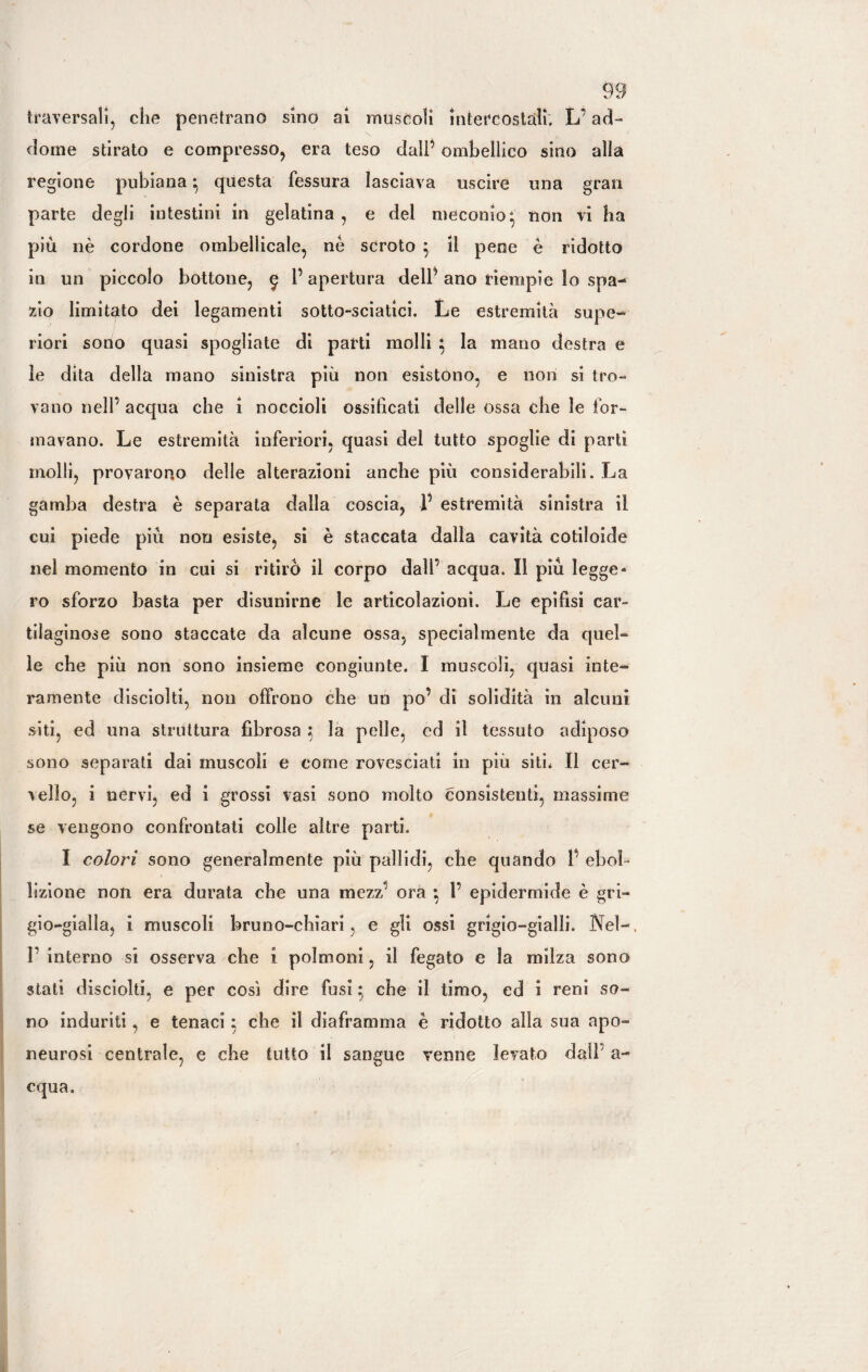 traversali, che penetrano sino ai muscoli intercostali. L’ ad¬ dome stirato e compresso, era teso dall’ ombellico sino alla regione pubiana ^ questa fessura lasciava uscire una gran parte degli intestini in gelatina , e del meconio* non vi ha più nè cordone ombellicale, nè scroto 5 il pene è ridotto in un piccolo bottone, ^ l’apertura dell’ ano riempie lo spa¬ zio limitato dei legamenti sotto-sciatici. Le estremità supe¬ riori sono quasi spogliate di parti molli $ la mano destra e le dita della mano sinistra più non esistono, e non si tro¬ vano nell’ acqua che i noccioli ossificati delle ossa che le for¬ mavano. Le estremità inferiori, quasi del tutto spoglie di parti molli, provarono delle alterazioni anche più considerabili. La gamba destra è separata dalla coscia, 1’ estremità sinistra il cui piede più non esiste, si è staccata dalla cavità cotiloide nel momento in cui si ritirò il corpo dall’ acqua. Il più legge¬ ro sforzo basta per disunirne le articolazioni. Le epifisi car¬ tilaginose sono staccate da alcune ossa, specialmente da quel¬ le che più non sono insieme congiunte. I muscoli, quasi inte¬ ramente disciolti, non offrono che un po’ di solidità in alcuni siti, ed una struttura fibrosa ; la pelle, ed il tessuto adiposo sono separati dai muscoli e come rovesciati in più siti* Il cer¬ vello, i nervi, ed i grossi vasi sono molto consistenti, massime se vengono confrontati colle altre parti. I colori sono generalmente più pallidi, che quando 1’ ebol¬ lizione non era durata che una mezz’ ora } 1’ epidermide è gri¬ gio-gialla, i muscoli bruno-chiari, e gli ossi grigio-gialli. Nel- I’ interno si osserva che i polmoni, il fegato e la milza sono stati disciolti, e per così dire fusi} che il timo, ed i reni so¬ no induriti, e tenaci * che il diaframma è ridotto alla sua apo¬ neurosi centrale, e che tutto il sangue venne levato dall a- cqua.