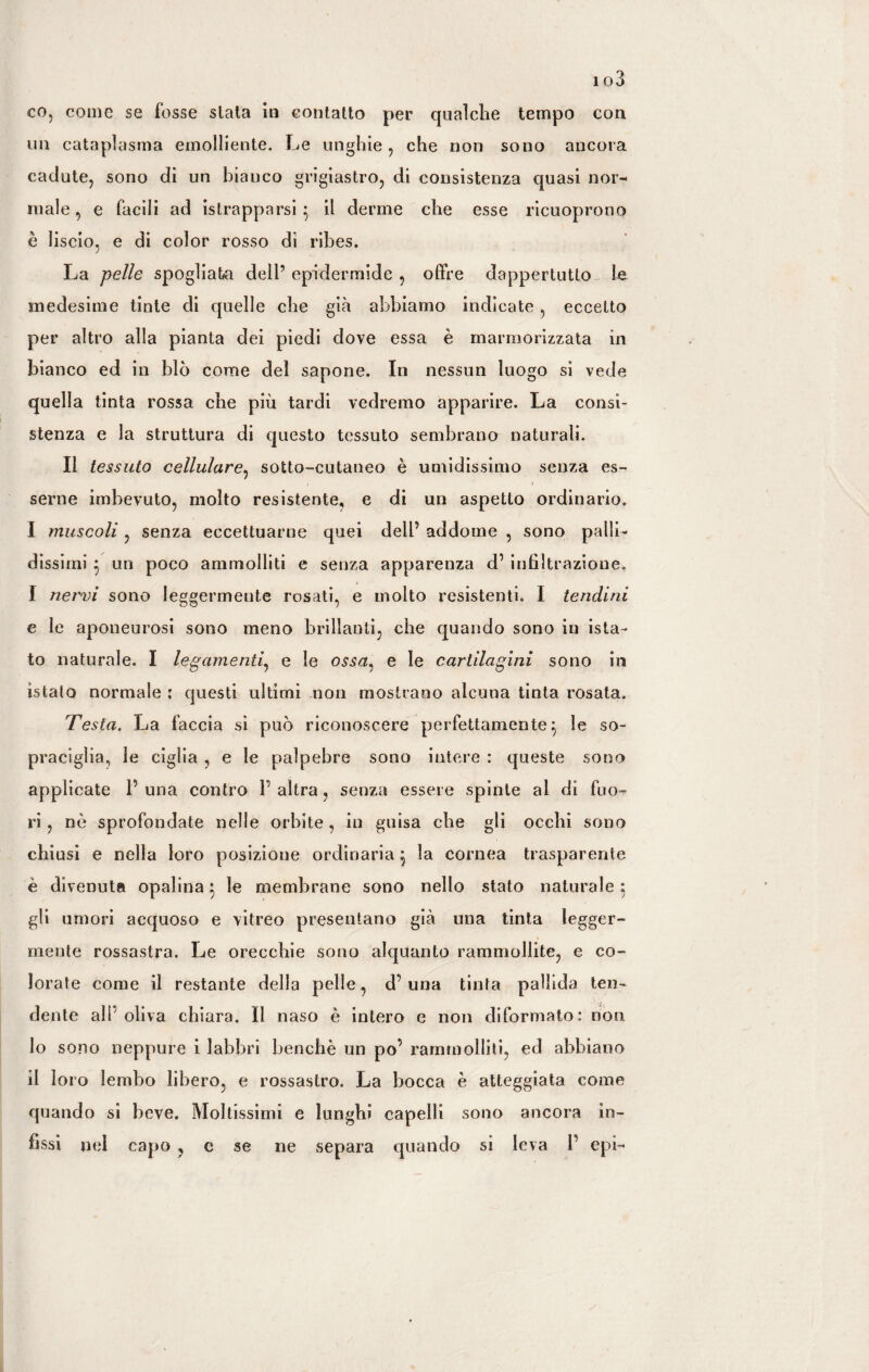 un cataplasma emolliente. Le unghie, che non sono ancora cadute, sono di un bianco grigiastro, di consistenza quasi nor¬ male , e facili ad istrappnrsi} il derme che esse ricuoprono è liscio, e di color rosso di ribes. La pelle spogliata dell’ epidermide , offre dappertutto le medesime tinte di quelle che già abbiamo indicate , eccetto per altro alla pianta dei piedi dove essa è marmorizzata in bianco ed in blò come del sapone. In nessun luogo si vede quella tinta rossa che più tardi vedremo apparire. La consi¬ stenza e la struttura di questo tessuto sembrano naturali. Il tessuto cellulare, sotto-cutaneo è umidissimo senza es¬ serne imbevuto, molto resistente, e di un aspetto ordinario. I muscoli , senza eccettuarne quei dell’ addome , sono palli¬ dissimi } un poco ammolliti e senza apparenza d’ infiltrazione. I nervi sono leggermente rosati, e molto resistenti. I tendini e le aponeurosi sono meno brillanti, che quando sono in ista- to naturale. I legamenti, e le ossa< e le cartilagini sono in is tal o normale : questi ultimi non mostrano alcuna tinta rosata. Testa. La faccia si può riconoscere perfettamente} le so¬ praciglia, le ciglia , e le palpebre sono intere : queste sono applicate 1’ una contro 1’ altra, senza essere spinte al di fuo¬ ri , nè sprofondate nelle orbite, in guisa che gli occhi sono chiusi e nella loro posizione ordinaria} la cornea trasparente è divenuta opalina} le membrane sono nello stato naturale ; gli umori acquoso e vitreo presentano già una tinta legger¬ mente rossastra. Le orecchie sono alquanto rammollite, e co¬ lorate come il restante della pelle, d’una tinta pallida ten¬ dente all’oliva chiara. Il naso è intero e non diformato: non 10 sono neppure i labbri benché un po’ rammolliti, ed abbiano 11 loro lembo libero, e rossastro. La bocca è atteggiata come quando si beve. Moltissimi e lunghi capelli sono ancora in¬ fissi nel capo , e se ne separa quando si leva 1’ epi-