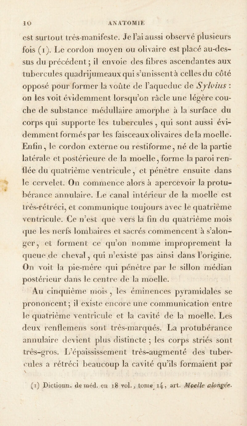 e$t surtout: très-manifeste. Je Fai aussi observé plusieurs fois (i). Le cordon moyen ou olivaire est placé au-des¬ sus du précédent ; il envoie des fibres ascendantes aux tubercules quadrijumeaux qui s’unissent à celles du coté opposé pour former la voûte de Faqueduc de Sjlvius : on les voit évidemment lorsqu’on racle une légère cou¬ che de substance médullaire amorphe à la surface du corps qui supporte les tubercules , qui sont aussi évi¬ demment formés par les faisceaux olivaires delà moelle. Enfin, le cordon externe ou restiforme^ né de la partie latérale et postérieure de la moelle, forme la paroi ren¬ flée du quatrième ventricule, et pénètre ensuite dans le cervelet. On commence alors à apercevoir la protu¬ bérance annulaire. Le canal intérieur de la moelle est très-rétréci, et communique toujours avec le quatrième ventricule. Ce n’est que vers la fin du quatrième mois i|ue les nerfs lombaires et sacrés commencent à s’alon- ger, et forment ce qu’on nomme improprement la queue de cheval, qui n’existe pas ainsi dans l’origine. On voit la pie-mère qui pénètre par le sillon médian postérieur dans le centre de la moelle. Au cinquième mois , les éminences pyramidales se prononcent; il existe encore une communication entre le quatrième ventricule et la cavité de la moelle. Les deux renflemens sont très-marqués. La protubérance annulaire devient plus distincte ; les corps striés sont très-gros. L’épaississement très-augmenté des tuber¬ cules a rétréci beaucoup la cavité qu’ils formaient par \ (i) Dictionn, de raéd. en i8 vol.^ tonie^ i4î ai’t* Moelle alongée.