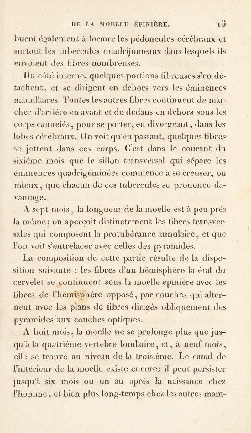 buent également à former les pédoncules cérébraux et surtout les tubercules quadrijumeaux dans lesquels ils envoient des flores nombreuses. Du coté interne, quelques portions fibreuses s’en dé¬ tachent, et se dirigent en dehors vers les éminences mamillaires. Toutes les autres fibres continuent de mar¬ cher d’arrière en avant et de dedans en dehors sous les corps cannelés, pour se porter, en divergeant, dans les lobes cérébraux. On voit qu’en passant, quelques fibres^ se jettent dans ces corps. C’est dans le courant du sixième mois que le sillon transversal qui sépare les éminences quadrigéminées commence à se creuser, ou mieux, que chacun de ces tubercules se prononce da- vantao^e. A sept mois, la longueur de la moelle est à peu près la même; on aperçoit distinctement les fibres transver¬ sales qui composent la protubérance annulaire, et que l’on voit s’entrelacer avec celles des pyramides. La composition de cette partie résulte de la dispo¬ sition suivante : les fibres d’un hémisphère latéral du cervelet se continuent sous la moelle épinière avec les fibres de l’hémisphère opposé, par couches qui alter¬ nent avec les plans de fibres dirigés obliquement des pyramides aux couches optiques. A huit mois, la moelle ne se prolonge plus que jus¬ qu’à la quatrième vertèbre lombaire, et, à neuf mois, elle se trouve au niveau de la troisième. Le canal de l’intérieur de la moelle existe encore; il peut persister jusqu’à six mois ou un an après la naissance chez l’homme, et bien plus long-temps chez les autres mam-