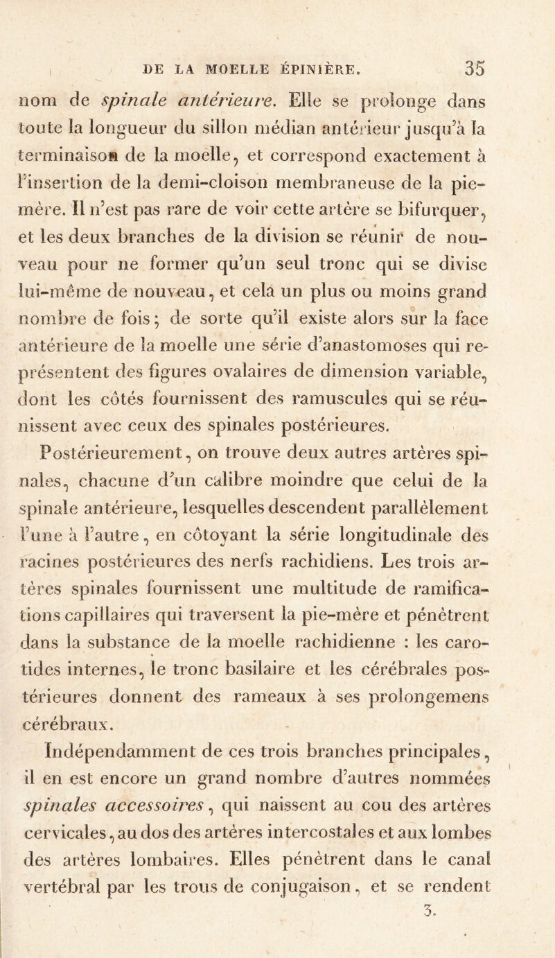 I nom de spinale antérieure. Elle se prolonge dans toute la longueur du sillon médian antérieur jusqu’à la terminaisoft de la moelle ^ et correspond exactement à l’insertion de la demi-cloison membraneuse de la pie- mère. Il n’est pas rare de voir cette artère se bifurquer^ et les deux branches de la division se réunir de nou¬ veau pour ne former qu’un seul tronc qui se divise lui-même de nouveau, et cela un plus ou moins grand nombre de fois; de sorte qu’il existe alors sur la face antérieure de la moelle une série d’anastomoses qui re¬ présentent des figures ovalaires de dimension variable, dont les côtés fournissent des ramuscules qui se réu¬ nissent avec ceux des spinales postérieures. Postérieurement, on trouve deux autres artères spi¬ nales, chacune d^un calibre moindre que celui de la spinale antérieure, lesquelles descendent parallèlement l’une à l’autre, en côtoyant la série longitudinale des racines postérieures des nerfs rachidiens. Les trois ar¬ tères spinales fournissent une multitude de ramifica¬ tions capillaires qui traversent la pie-mère et pénètrent dans la substance de la moelle rachidienne : les caro- * tides internes, le tronc basilaire et les cérébrales pos¬ térieures donnent des rameaux à ses prolongemens cérébraux. Indépendamment de ces trois branches principales, il en est encore un grand nombre d’autres nommées spinales accessoires, qui naissent au cou des artères cervicales, au dos des artères intercostales et aux lombes des artères lombaires. Elles pénètrent dans le canal vertébral par les trous de conjugaison, et se rendent 3.