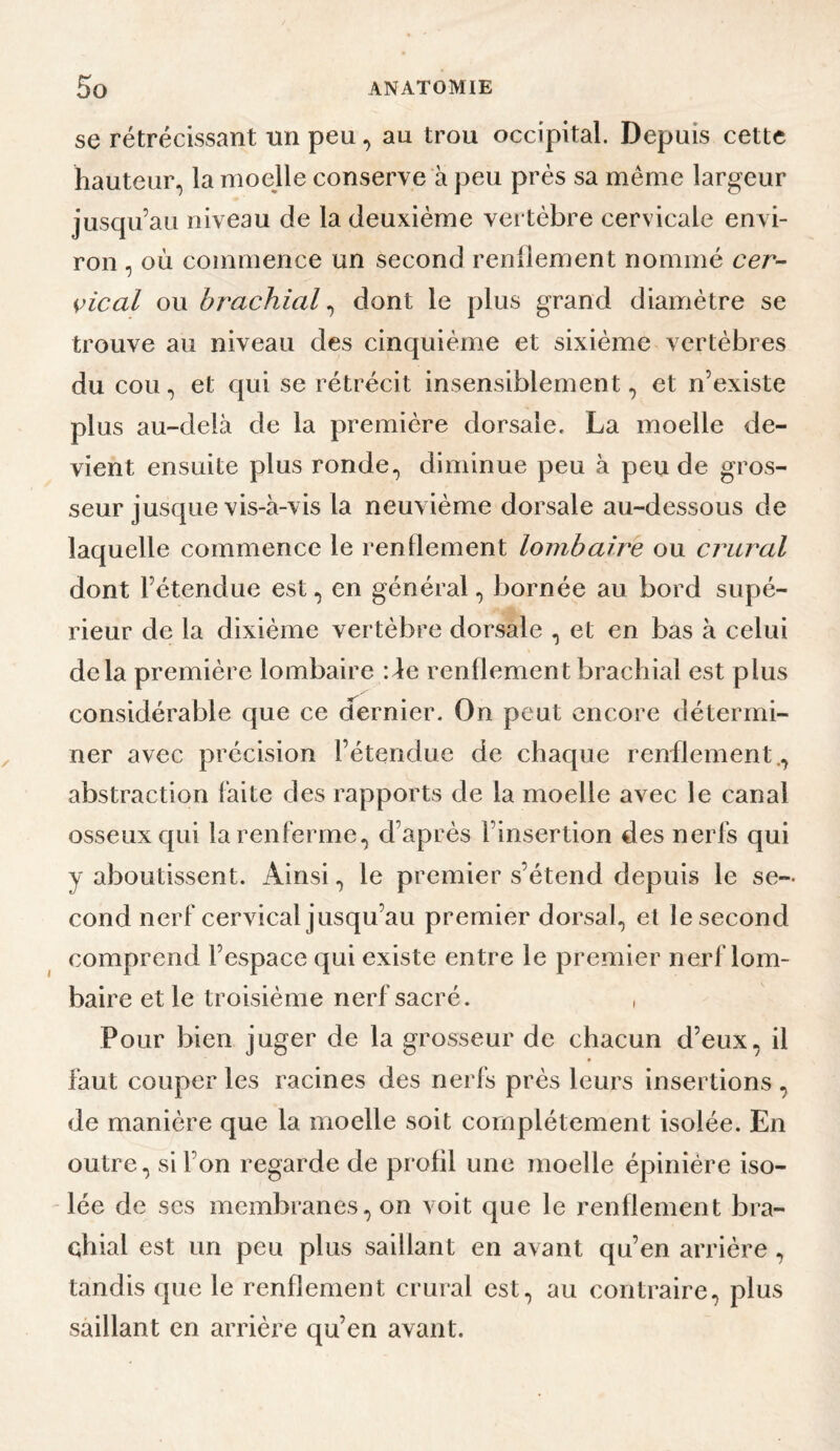 se rétrécissant tin peu, au trou occipital. Depuis cette hauteur, la moelle conserve à peu prés sa même largeur jusqu’au niveau de la deuxième vertèbre cervicale envi¬ ron , où commence un second renliement nommé cer- vical ou br^achAal ^ dont le plus grand diamètre se trouve au niveau des cinquième et sixième vertèbres du cou, et c{ui se rétrécit insensiblement, et n’existe plus au-delà de la première dorsale. La moelle de¬ vient ensuite plus ronde, diminue peu à peu de gros¬ seur jusque vis-à-vis la neuvième dorsale au-dessous de laquelle commence le renliement lombaire ou crural dont l’étendue est, en général, bornée au bord supé¬ rieur de la dixiéme vertèbre dorsale , et en bas à celui delà première lombaire :^e renflement brachial est plus considérable que ce dernier. On peut encore détermi¬ ner avec précision l’étendue de chaque renflement., abstraction faite des rapports de la moelle avec le canal osseux qui la renferme, d’après l’insertion des nerfs qui y aboutissent. Ainsi, le premier s’étend depuis le se¬ cond nerf cervical jusqu’au premier dorsal, et le second comprend l’espace qui existe entre le premier nerf lom¬ baire et le troisième nerf sacré. , Pour bien juger de la grosseur de chacun d’eux, il faut couper les racines des nerls près leurs insertions , de manière que la moelle soit complètement isolée. En outre, si l’on regarde de profil une moelle épinière iso¬ lée de ses membranes, on voit que le renflement bra¬ chial est un peu plus saillant en avant qu’en arrière, tandis que le renflement crural est, au contraire, plus saillant en arrière qu’en avant.