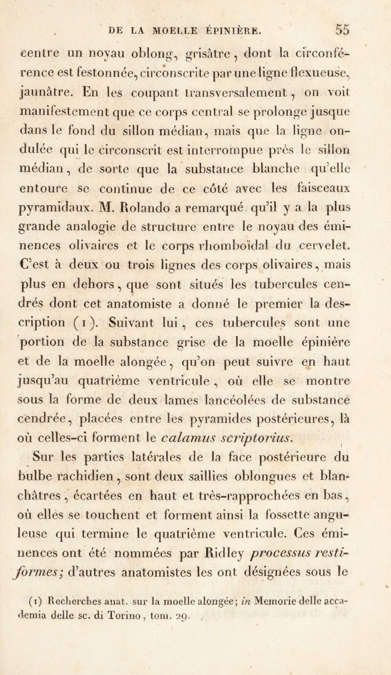 centre un noyau oblong., grisâtre, dont la circonfé¬ rence est festonnée, circonscrite par une ligne fîcxueuse, jaunâtre. En les coupant transversalement, on voit manifestement que ce corps central se prolonge jusque dans le fond du sillon médian, mais que la ligne on¬ dulée qui le circonscrit est interrompue près le sillon médian , de sorte que la substance blanche qu’elle entoure se continue de ce côté avec les faisceaux pyramidaux. M. Rolando a remarqué qu’il y a la plus grande analogie de structure entre le noyau des émi¬ nences olivaires et le corps rbomboïdal du cervelet. C’est à deux ou trois lignes des corps olivaires, mais plus en dehors, que sont situés les tubercules cen¬ drés dont cet anatomiste a donné le premier la des¬ cription ( I ). Suivant lui , ces tubercules sont une portion de la substance grise de la moelle épinière et de la moelle alongée, qu’on peut suivre en haut jusqu’au quatrième ventricule, où elle se montre sous la forme de deux lames lancéolées de substance cendrée, placées entre les pyramides postérieures, là où celles-ci forment le calamus scrîptorius. Sur les parties latéi’ales de la face postérieure du bulbe rachidien, sont deux saillies oblongues et blan¬ châtres , écartées en haut et très-rapprochées en bas, où elles se touchent et forment ainsi la fossette angu¬ leuse qui termine le quatrième ventricule. Ces émi¬ nences ont été nommées par Ridley processus resti- formesI d’autres anatomistes les ont désignées sous le (i) Recherches aiiat. sur la moelle alongée; in Memorie delle acca- demia delle sc. di Torino, tom. 29. ^