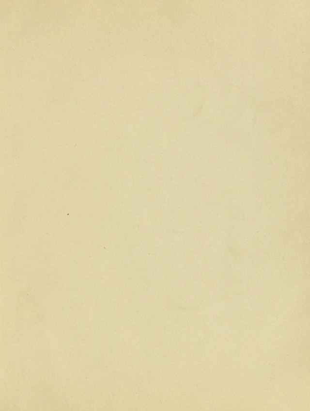 digitised image 3