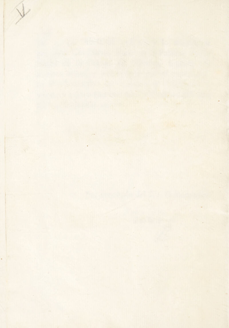 . '«SSIWIÍ® I' ■ ■' ,. yfc-'i'iií: ;■'■■ ^'.<:■■'r^;L'L :‘íísiír - V \\^ . i ^ ’v :< líffir . '»í ■í» ^ ■ »• i >^-..>/^i. ■ í- ■ í¿:.:C.^... V. lili» ■ .,.'M 5' ^ -vive • • -^ rimiMii ^ ,1 * ' - ' •<*' ^ * ¡TI ■^' rt ‘ *• \i ' “ ■*• ^ R-- * ' '-.'i -^z S’'.';*í}. ■' vÁiWSM.j. . 1'^ i:l>''»ívV^-,. r '1* *' I i * .S„w:aji»‘ai .« ... . , -'#Wi