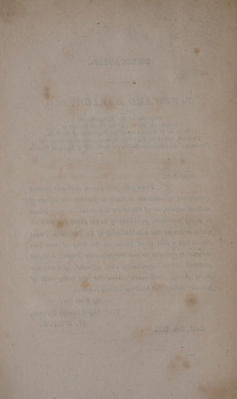 ' - 7 ‘ : : Shite - - r 4 na. , pe i) roa is = pei Ph eet . ‘ « “ Ase: ~ thie A a ? : ”) ‘ a Ae . ~ ’ ’ 4, r , x : q ‘ + ‘ iy hie 4 ‘ S a he 4 ee t.% iy 2 Nt . che &amp; ys x t 45 i 4 y MV , 4 ek A ‘ + We A 7 Ble hanes 8 . VS bo ; af ay iS ist e Y Who atk e ‘- “ee yr AVey , ; ‘¢ - L = p 5 g ¥ +? 4, ‘ ga ad Pe th ad. By LOT ‘a. aia NS via OA ae BIS 8 | a 2 etl i “4 q | ; a . : hitaad . i e* Po k iM ’ ran bay vy kas ayeeye!! dye daw Lag : \y J : j ; ay? og YAt) SRN Weng , * 4 J a a 7 4 : o. eh, poe _ ‘ v r had i eS Avid AL.) gOS 4 dus . ‘ ‘ { se PE Gaal a ¢ 4] € Bhi: ae CY eS uJ ? ’ \, aes ) . t \¢ . ; i Re «be RN “4 : 4.4 a ay Ca SeP ee