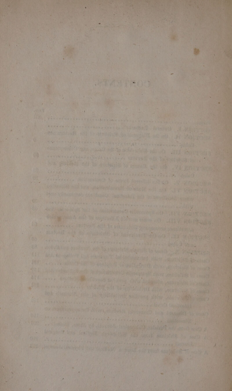 . ; : &gt; ns adh 4 fOL soa) . n » M4 th ek , a é , Te ON) a ae BP utente ae Np gilding Ste og se 1. : . ive sae ; 7 “o Ve ea Wy y 4me e eK yi Wh” ote rit? t — i. a) Rica) ; ; oer By } eee re , wry .- + a e -  as &amp; / ad Wale dau phe &gt; Wh aad ‘ . m4 ‘ en aa , : ‘ af me . / omen Be! pal ioe § 4 titel RIS ra &amp; P . 1 ASE TREO ES She Se bean Gale bel elites by 4 ee i _ 4 ey ¥- +. 2 ave sti ; Fork. Kini yee Pl ‘ ‘ Me TR Wd me ' +e.) bie aye, Pe bl ak te bi ¢! ‘tint aitlyy: i agg 5 fi 7 ( ‘ a pe 5 +9 4) Reve eo ‘ , MRnSrMAN AL i) soi of ; - r : ny ] wie vet rae ‘ . 7) Ric “Ay SSBB wy: tae ihe aah, oF i Maas a3 “ +43 a Pd ’ 1 r Pe 5 ' ee; fs? a “6 et « — FS walt Be waar a ala dae ay ’ / 1 ah ae a ere ' bate eae +S 3 yee i hae pe t! w @ ‘ = pre’, # ~ i - Pi i ‘aca pelts - e4 a ‘I . 4 4 a&gt; * -éwae kg es ole Bh ’ i 4 bie % = hell ¢ Sea's 78 Pidt) is i Ry ; i \ ‘ ‘ ‘ « A &gt; a . d ¢ ¥ ’ ' Xx 4