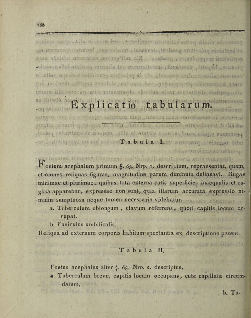 - r ^ H Hj x3 * . £ N r £ 31 ij À b3pegu nu oit tei nues €5 i v Y E ' 53 an ye6 n Qf To3 £3 7 A4 ; x * A &amp; * t T1: AXIAITSOTA T3. TE. J &amp; E Á  , :  ,l - í 3 - i 311 Ii Hn E. /!f aW 511U i X n * LS ' d Ll i4 c om ! RA A38 kc] a bb 100914 - dd 1 £01903201 03974 | Tas idt erit T de boi duas (oroirisieésh Tissu Sepp: s fr tl us ilic J N13 CORE i 1123 4, à M; 4 13 - Fax vi T1401 Guebpitt &amp;  li T I 1r lega 32840102. 2 CExpli ca io. tabu arum. S - :1 XT  k»À |l OLRRAPE (oH RIXST ws ek3 xd fíeiiuasg Maie unm bert tl - C ETT Locd&amp;ctina i à ] i 24i » iof - A438 I Uer? cC : T TM t$oeddriÜe zu o. vréeop sr r ha ger T4 MS - ^ * ALU. j £3 EG Qe dy ANE s DJAIL HO DEOR DEGIC IOLBH Sau eusgood4 * Ys , Es 'Dza. bi ula oTi j22039q :, gtitidyo 5412] nq Sina xs E oetum: acephalum primum $. pad Nro, )As descriptum, Berg quem, | - et omnes: reliquas figuras, magnitudine. parum. diminuta. .delineavi. . Hugae minimae et: Pana pipa: tota extepnai cutis superficies ánaequalis Ig. ru-. | -mium iip neque tamen nadcasiiis: Rui T Pac E Ol a. 'Tuberculum oblongum , clavum referrens quod capitis locum. oC-. cupat. | c A .b. Funiculus umbilicalis, Reliqua ad externum corporis habitum: spectantia ex descriptione patent. Tabu la II, Foetus acephalus alter $. 63. Nro. 2. descriptus. | a. Tuberculum breve, capitis locum occupans, cute capillata circum. | datum. jm | b. Tu- 3