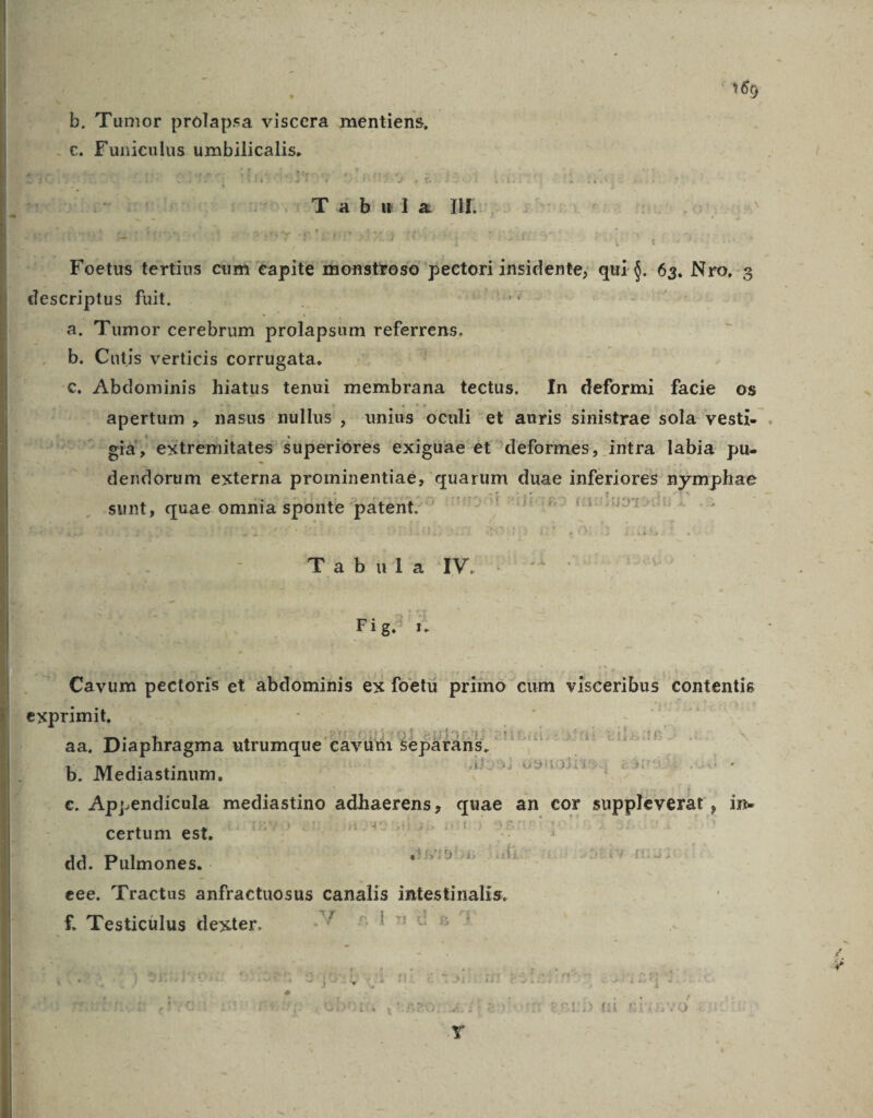 ', xv b. 'Tumor prolapsa viscera mentiens, - €. Funiculus umbilicalis. bydioi pe die coton m abiwd a D: Foetus tertius cüumi éapite thonstroso pectori insidente, qui $. 63. Nro. descriptus fuit. a. Tumor cerebrum Wieidgitios referrens. b. Cutis verticis corrugata. ! €. Abdominis hiatus tenui membrana tectus. In deformi facie os apertum , nasus nullus , unius oculi et auris sinistrae sola vesti- . già, extremitates superiores exiguae et deformes, intra labia pu. dendorum externa prominentiae, geuebs duae as oe: Srt Fr ortrb6;orges garfítsrreneg ] * I» 1:1 j sunt, quae omnia Lo patent. ; Tabula IV. Fig. - Cavum pectoris et abdominis ex foetu primo cum visceribus contentis exprimit, | aa, Diaphragma utrumque. cavüm Sepáráns.. b. Mediastinum., &amp; c. Appendicula mediastino adhaerens , ess an cor suppleverat, in- 4 certum est, dd. Pulmones. MET T.  eee. Tractus anfractuosus canalis intestinalis. f£. Testicülus dexter. LEE
