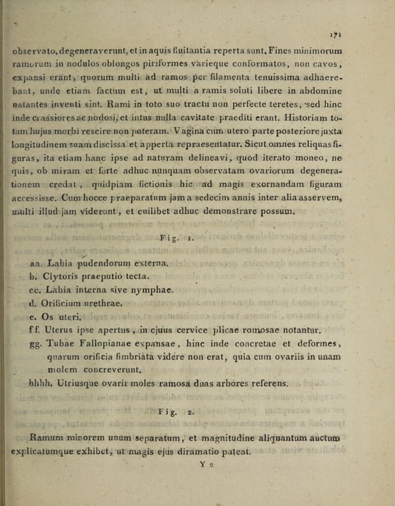 | observato, degeneraverunt, etin aquis fluitantia reperta sunt, Fines minimorum ramorum in nodulos oblongos piriformes varieque conformatos, non cavos, Im expansi erant, quorum multi ad. ramos. per filamenta tenuissima adhaere- bant, unde etiam factum est , ut multi. a ramis soluti libere in abdomine | natantes inyenti sint. Rami in toto suo tractu non perfecte teretes, *sed hinc | indecrassiores ac nodosi, et intus nulla:cavitate praediti erant. Historiam to- | tamhujus morbi rescire non poteram. Vagina cum utero parte posteriore juxta longitudinem suam discissa et a perta repraesentatur. Sicut omnes reliquas fi- guras, ita etiam hanc ipse ad naturam delineavi, quod iterato moneo, ne . quis, ob miram et forte adhuc nanquam observatam ovariorum degenera- tionem credat , quidpiam fictionis hic 'ad magis exornandam figuram accessisse. Cum hocce praeparatum jam a sedecim annis inter alia asservem, multi illud:jam viderunt, et cuilibet adhuc démonstrare possum. Fig. 1. aa. Labia pudendorum externa, ! b. Clytoris praeputio tecta. — - à — . ec. Labia interna sive nymphae. ! |^ d. Orificium urethrae. : e. Os uteri. | ff. Uterus ipse apertus, in cjuus cervice plicae romosae notantur, gg. Tubae Fallopianae expansae, hinc inde concretae et deformes, quarum orificia fimbriàta vidére non erat, quia cum ovariis in unam molem concreverunt, hhhh, Utriusque ovarir móles ramosa duas arbores refoithise | Mig. 12 Ramum minorem unüm separatum, et magnitudine aliquantum auctum | Expticothpagque exhibet, ut iMd ejus diramatio pateat. Y