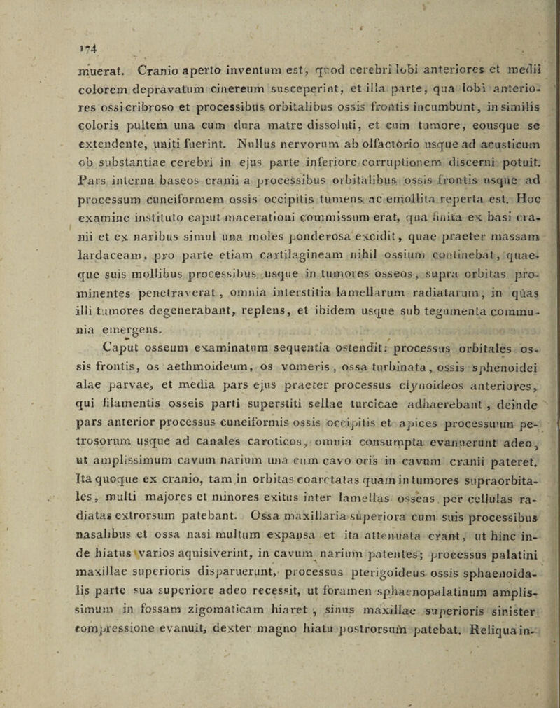 colorem depravatum cinereum susceperiat, et illa. parte; qua lobi anterio- res ossicribroso et processibus orbitalibus ossis frontis incumbunt, in similis coloris pultem una cum dura matre dissoluti, et cim tumore, eousque se extendente, uniti fuerint. Nullus nervorum ab olfactorio usque ad acusticum ob substantiae cerebri in. ejus parte inferiore corruptionem discerni potuit. processum cuneiformem ossis occipitis tumens. ac. emollita reperta est. Hoc examine instituto caput macerationi commissum erat, qua hinita ex basi cra- mii et ex naribus simul una moles ponderosa excidit, quae praeter massam lardaceam, pro parte etiam cartilagineam nihil ossium continebat, quae- ininentes penetraverat, omnia interstitia lamellarum radiatarum, in quas illi tumores degenerabant, replens, et ibidem usque sub tegumenta commu- nia emergens. | Asl i Caput osseum examinatum sequentia ostendit: processus orbitalés.: OS« sis frontis, os aethmoideum,. os vomeris , ossa turbinata , ossis 'sphenoidei alae parvae, et media pars ejus praeter processus ciynoideos anteriores, pars anterior processus cuneiformis ossis occipitis et- apices processuum pe-. trosorum usque ad canales caroticos ,; omnia consumpta evannerunt adeo, ut amplissimum cavum narium una cum cavo oris in cavum cranii pateret, ]tà quoque ex cranio, tam in orbitas coarctatas quam intumores supraorbita- les, multi majores et minores exitus inter lamellas. osseas, per cellulas ra- diatas extrorsum patebant. . Ossa maxillaria.süperiora cum. suis processibus nasalibus et ossa nasi multum expansa. et ita attenuata erant, ut hinc in- de hiatus'varios aquisiverint, in cavum narium patentes; processus palatini maxillae superioris dis; paruerunt, processus pterigoideus. ossis sphaenoida- lis parte sua superiore adeo recessit, ut foramen.sphaenopalatinum amplis- simum jn fossam zigomaticam hiaret , sinus maxillae. swperioris' sinister:  pos | | | | j ]