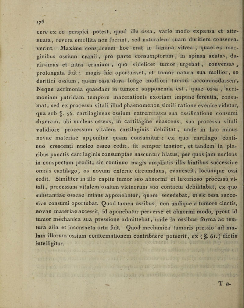 nuata, revera emollita non fuerint, sed naturalem suam duritiem conserva- ginibus ossium cranii, pro parte consumptorum, in spinas acutas, du- rissimas et intra cranium , quo videlicet tumor; urgebat, comnversas , duritie ossium , quam ossa dura longe molliori tumori accommodassen't, Neque acrimonia quaedam in tumore supponenda est, quae ossa , acri- moniam putridam tempore macerationis exorlam impune ferentia, consu- mat; sed ex processu vitali illud phaenomenon simili ratione evenire videtur, dixeram, ubi nucleus osseus, in cartilagine enascens , Suo processu vitali validiore processum vitalem cartilaginis debilitat, unde in hac minus novae materiae apponitur quam consumitur; ex quo -cartilago conti- nuo crescenti nucleo osseo cedit, fit semper tenuior, et tandem in pla- ribus punctis cartilaginis consumptae nascuntur hiatus, per quos jam nucleus in conspectum prodit, sic continuo magis ampliatis illis hiatibus successive cedit, Similiter in illo capite tumor suo abnormi et luxurioso processu vi- tali, processum vitalem ossium vicinorum suo contactu debilitabat, ex quo substantiae osseae minus apponebatur, quam secedebat, et sic ossa succe- sive consumi oportebat. Quod tamen ossibus, non undique a tumore cinctis, novae materiae accessit, id aponebatur perverse et abnormi modo, prout id tumor mechanica sua pressione admittebat, unde in ossibus forma ac tex- tura alia et inconsueta orta fuit. Quod mechanica tumoris pressio ad ma- lam illorum ossium contormationem contribuere potuerit, ex ($. 6i.) dictis antelligitur. !