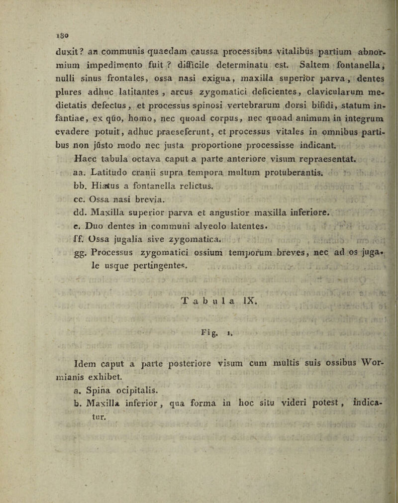 190 duxit? an communis quaedam caussa processibus vitalibüs partium abnor- | mium impedimento fuit ? difficile determinatu est. Saltem : fontanella ; nulli sinus frontales, ossa nasi exigua, maxilla superior parva, dentes 3 plures adhuc latitantes , arcus zygomatici deficientes, clavicularum me. | dietatis defectus ^e processus spinosi vertebrarum dorsi bifidi, statum. in. fantiae, ex qüo, homo, nec quoad corpus, nec quoad animum in integrum evadere potuit, adhuc praeseferunt, et processus vitales in omnibus. parti- | bus non jüsto modo nec justa proportione processisse indicant.- Haec tabula octava caput a parte anteriore visum repraesentat. aa. Latitudo cranii supra tempora multum protüberantis, do $51b bb. Hiatus a fontanella relictus. ES iU cC. Ossa nasi brevia. T | i dd. Maxilla superior parva et angustior maxilla inferiore. e. Duo dentes in communi alyeolo latentes. GP DEP TH Íf. Ossa jugalia sive zygomatica. ^: .- . iointutos  modes 5 gg. Processus zygomatici ossium temporum. TN nec ad os jugas, le usque pertingentes. Li HS gu D d Tabula 1X, Fig. x Idem caput à parte posteriore visum cum multis suis ossibus Wor- 4 iJ mianis exhibet. | | E a, Spina ocipitalis. st ^i b. Maxilla inferior, qua forma in hoc situ videri poten E I , : x Ad, ie. Ce tur.