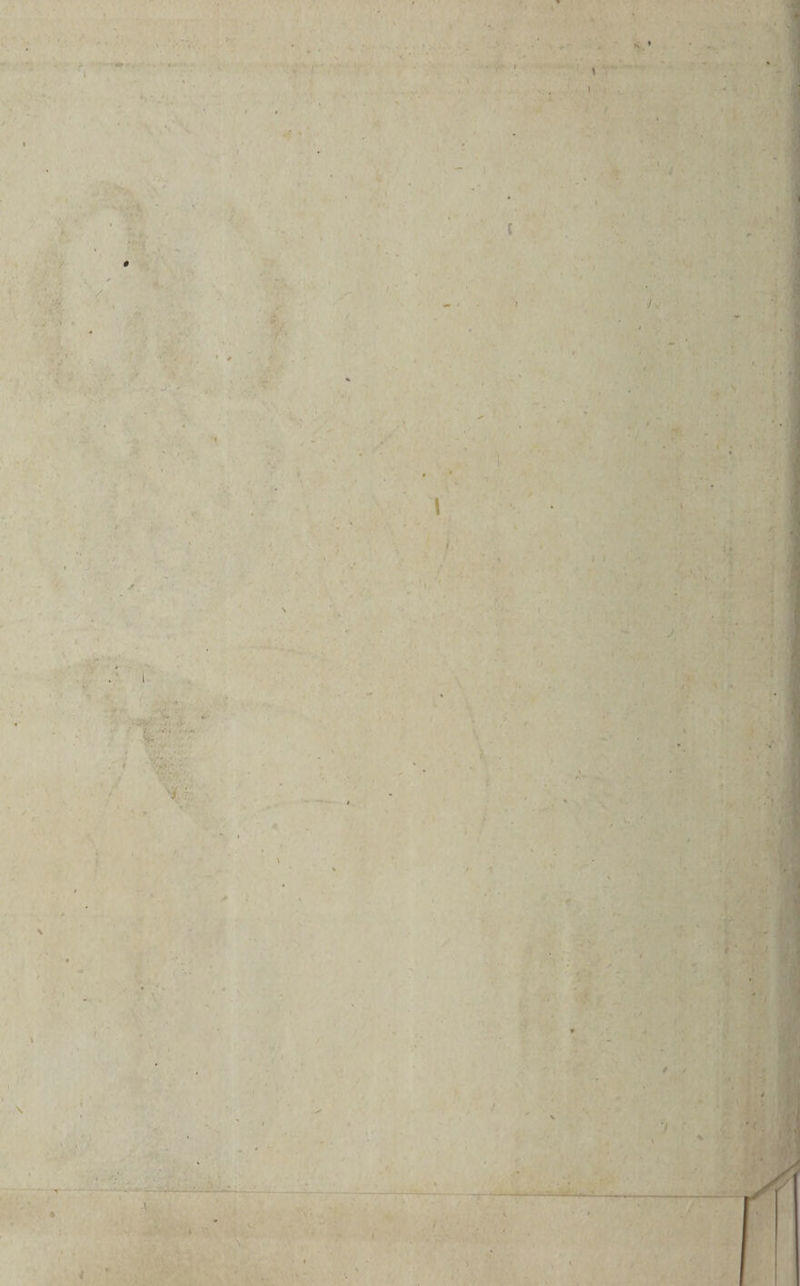 t3 p  dom L ; | ; | : : * 08 I6 ] | j ' Z4 M L YR bs, ; m s | » iuit * iv es om up e  Cone ^d Fg het : ^ ^ ; | Ue p EC ; | » ERE. ' E  T ideali. o Agenbo ar | i Jn rese à ^ bis ^ 3 9 LH í