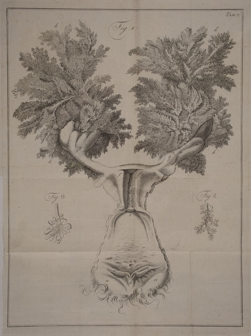 NI AI ay SIS y XS N i S 172) era N MUS d NE ITMMH p 2777 at hu j Mer UD i is (và QE EUN Ji fta Syr, UP i e u m rij | j ili (PAuedff ] |