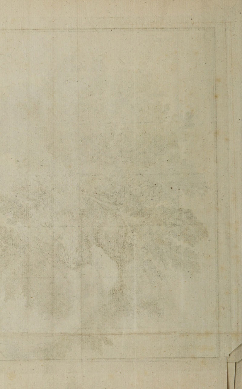 emet E Jie caque bis addit sid (drm ost fne : e 2 aat e ! he xw ws » M e — 4 eet i ue hl e ^ E Lu ne: € m E Z^ e^ ideo fpa Ap Vk — vs E ; t ' 2 ' i 37. » Y * Ww E [£e t LES Y E.  w -: 2 » Y ?s - x : n i v. J s 4 / , n Yr V - de^ AR. r ' Vibe ' , E: - : : d ^ ER ; , mE M ' k ^ 4 