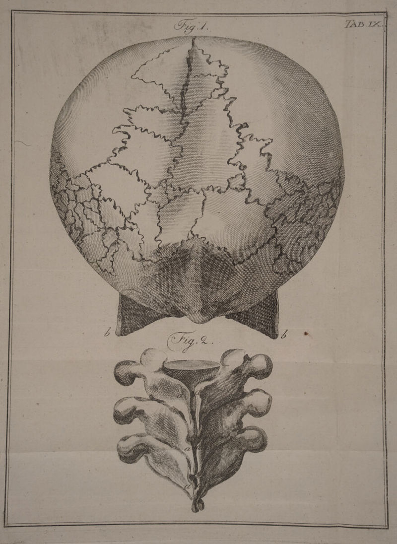 540 171, T * T PIA LÀ $, ; TA A M YS M n NN : S We m ; 22 zz L- TN i MN ' M aif AER) TE RCNE Ne | d yi E — : N TROC TT wt p « : d tp ee - 4 'h * V C VSSNDSS S NNUS ——- RN M *» * SAM 241 EI PR... ey  TS - S 7 1 yLi Iun 16 E LT erm m rra o, 2 te T o rr ,