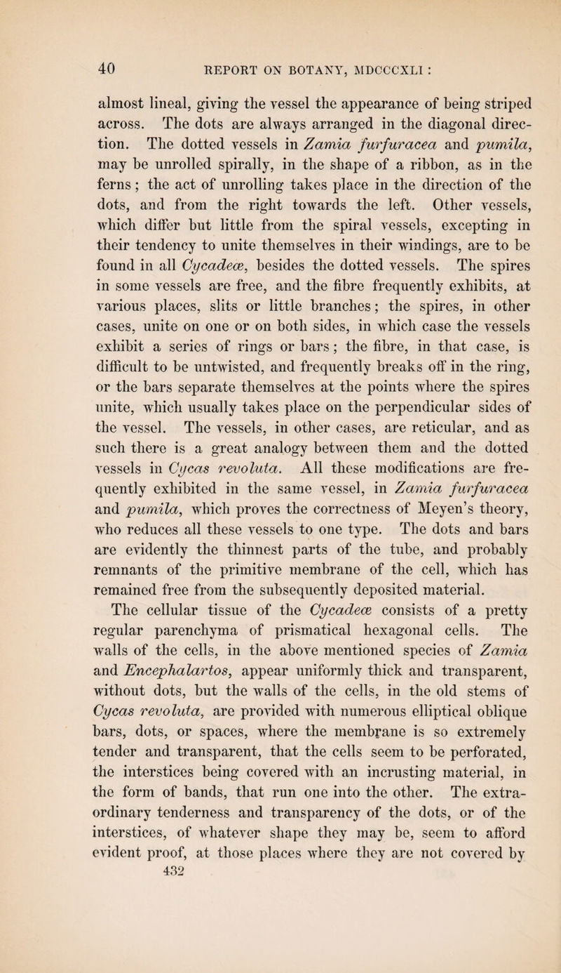 almost lineal, giving the vessel the appearance of being striped across. The dots are always arranged in the diagonal direc¬ tion. The dotted vessels in Zamia furfuracea and piimila, may be unrolled spirally, in the shape of a ribbon, as in the ferns; the act of unrolling takes place in the direction of the dots, and from the right towards the left. Other vessels, which differ but little from the spiral vessels, excepting in their tendency to unite themselves in their windings, are to he found in all Cycadem, besides the dotted vessels. The spires in some vessels are free, and the fibre frequently exhibits, at various places, slits or little branches; the spires, in other cases, unite on one or on both sides, in which case the vessels exhibit a series of rings or bars; the fibre, in that case, is difficult to he untwisted, and frequently breaks off in the ring, or the bars separate themselves at the points where the spires unite, which usually takes place on the perpendicular sides of the vessel. The vessels, in other cases, are reticular, and as such there is a great analogy between them and the dotted vessels in Cycas revoluta. All these modifications are fre¬ quently exhibited in the same vessel, in Zamia furfuracea and piimila, which proves the correctness of Meyen’s theory, who reduces all these vessels to one type. The dots and bars are evidently the thinnest parts of the tube, and probably remnants of the primitive membrane of the cell, which has remained free from the subsequently deposited material. The cellular tissue of the Cycadece consists of a pretty regular parenchyma of prismatical hexagonal cells. The walls of the cells, in the above mentioned species of Zamia and Encephalartos, appear uniformly thick and transparent, without dots, but the walls of the cells, in the old stems of Cycas revoluta, are provided with numerous elliptical oblique bars, dots, or spaces, where the membrane is so extremely tender and transparent, that the cells seem to be perforated, the interstices being covered with an incrusting material, in the form of bands, that run one into the other. The extra¬ ordinary tenderness and transparency of the dots, or of the interstices, of whatever shape they may be, seem to afford evident proof, at those places where they are not covered by 4,32
