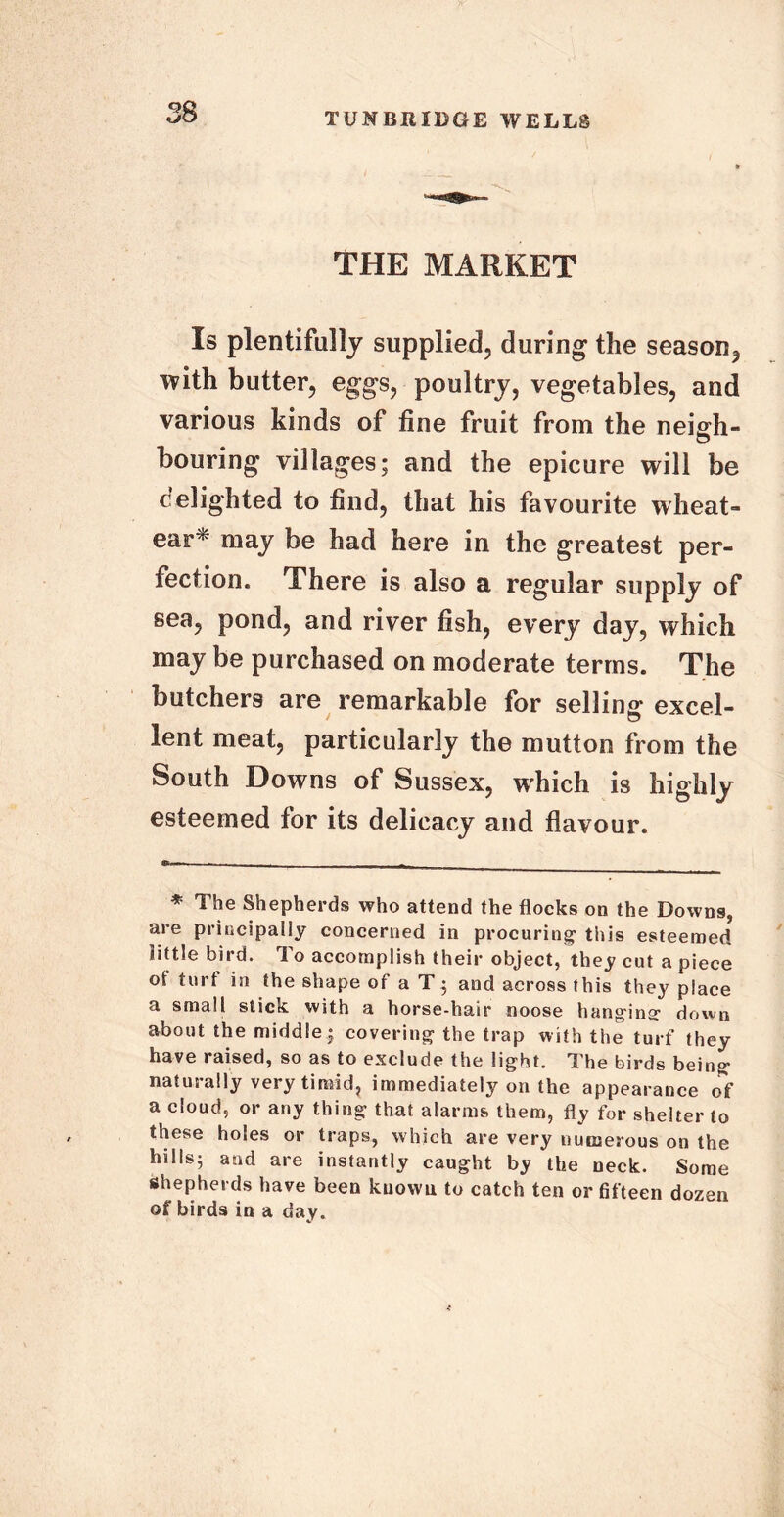 THE MARKET Is plentifully supplied, during the season, with butter, eggs, poultry, vegetables, and various kinds of fine fruit from the neigh- bouring villages; and the epicure will be delighted to find, that his favourite wheat- ear* may be had here in the greatest per- fection. There is also a regular supply of sea, pond, and river fish, every day, which may be purchased on moderate terms. The butchers are remarkable for selling excel- lent meat, particularly the mutton from the South Downs of Sussex, which is highly esteemed for its delicacy and flavour. * The Shepherds who attend the flocks on the Downs, are principally concerned in procuring1 this esteemed little bird. To accomplish their object, they cut a piece ot turf in the shape of a T • and across this they place a small stick with a horse-hair noose hanging- down about the middle; covering the trap with the turf they have raised, so as to exclude the light. The birds being naturally very timid, immediately on the appearauce of a cloud, or any thing that alarms them, fly for shelter to these holes or traps, which are very numerous on the hills; and are instantly caught by the neck. Some shepherds have been known to catch ten or fifteen dozen of birds in a day.