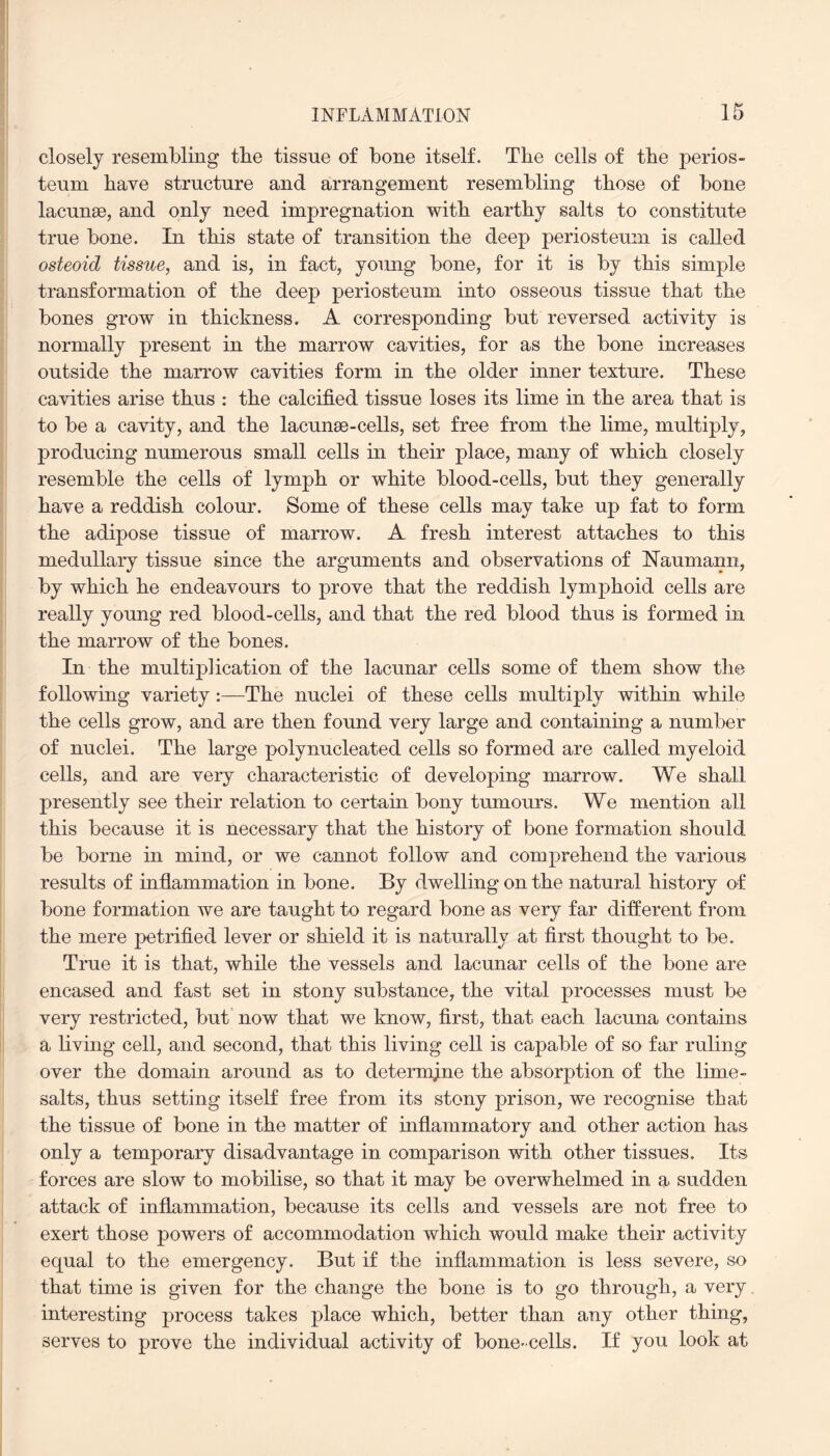 closely resembling tbe tissue of bone itself. The cells of the perios¬ teum have structure and arrangement resembling those of bone lacunae, and only need impregnation with earthy salts to constitute true bone. In this state of transition the deep periosteum is called osteoid tissue, and is, in fact, young bone, for it is by this simple transformation of the deep periosteum into osseous tissue that the bones grow in thickness. A corresponding but reversed activity is normally present in the marrow cavities, for as the bone increases outside the marrow cavities form in the older inner texture. These cavities arise thus : the calcified tissue loses its lime in the area that is to be a cavity, and the lacuna-cells, set free from the lime, multiply, producing numerous small cells in their place, many of which closely resemble the cells of lymph or white blood-cells, but they generally have a reddish colour. Some of these cells may take up fat to form the adipose tissue of marrow. A fresh interest attaches to this medullary tissue since the arguments and observations of NTaumann, by which he endeavours to prove that the reddish lymphoid cells are really young red blood-cells, and that the red blood thus is formed in the marrow of the bones. In the multiplication of the lacunar cells some of them show the following variety:—The nuclei of these cells multiply within while the cells grow, and are then found very large and containing a number of nuclei. The large polynucleated cells so formed are called myeloid cells, and are very characteristic of developing marrow. We shall presently see their relation to certain bony tumours. We mention all this because it is necessary that the history of bone formation should be borne in mind, or we cannot follow and comprehend the various results of inflammation in bone. By dwelling on the natural history of bone formation we are taught to regard bone as very far different from the mere petrified lever or shield it is naturally at first thought to be. True it is that, while the vessels and lacunar cells of the bone are encased and fast set in stony substance, the vital processes must bo very restricted, but now that we know, first, that each lacuna contains a living cell, and second, that this living cell is capable of so far ruling over the domain around as to determine the absorption of the lime- salts, thus setting itself free from its stony prison, we recognise that the tissue of bone in the matter of inflammatory and other action has only a temporary disadvantage in comparison with other tissues. Its forces are slow to mobilise, so that it may be overwhelmed in a sudden attack of inflammation, because its cells and vessels are not free to exert those powers of accommodation which would make their activity equal to the emergency. But if the inflammation is less severe, so that time is given for the change the bone is to go through, a very interesting process takes place which, better than any other thing, serves to prove the individual activity of bone-cells. If you look at