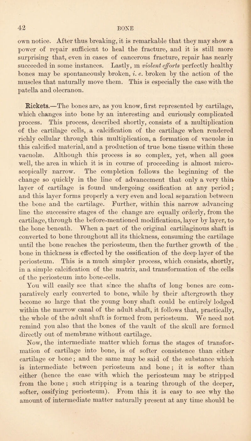 own notice. After thus breaking, it is remarkable that they may show a power of repair sufficient to heal the fracture, and it is still more surprising that, even in cases of cancerous fracture, repair has nearly succeeded in some instances. Lastly, m violent efforts perfectly healthy bones may be spontaneously broken, i. e. broken by the action of the muscles that naturally move them. This is especially the case with the patella and olecranon. Rickets.—The bones are, as you know, first represented by cartilage, which changes into bone by an interesting and curiously complicated process. This process, described shortly, consists of a multiplication of the cartilage cells, a calcification of the cartilage when rendered richly cellular through this multiplication, a formation of vacuolae in this calcified material, and a production of true bone tissue within these vacuolse. Although this process is so complex, yet, when all goes well, the area in which it is in course of proceeding is almost micro¬ scopically narrow. The completion follows the beginning of the change so quickly in the line of advancement that only a very thin layer of cartilage is found undergoing ossification at any period; and this layer forms properly a very even and local separation between the bone and the cartilage. Further, within this narrow advancing line the successive stages of the change are equally orderly, from the cartilage, through the before-mentioned modifications, layer by layer, to the bone beneath. When a part of the original cartilaginous shaft is converted to bone throughout all its thickness, consuming the cartilage until the bone reaches the periosteum, then the further growth of the bone in thickness is effected by the ossification of the deep layer of the periosteum. This is a much simpler process, which consists, shortly, in a simple calcification of the matrix, and transformation of the cells of the periosteum into bone-cells. You will easily see that since the shafts of long bones are com¬ paratively early converted to bone, while by their aftergrowth they become so large that the young bony shaft could be entirely lodged within the marrow canal of the adult shaft, it follows that, practically, the whole of the adult shaft is formed from periosteum. We need not remind you also that the bones of the vault of the skull are formed directly out of membrane without cartilage. Now, the intermediate matter which forms the stages of transfor¬ mation of cartilage into bone, is of softer consistence than either cartilage or bone; and the same may be said of the substance which is intermediate between periosteum and bone; it is softer than either (hence the ease with which the periosteum may be stripped from the bone ; such stripping is a tearing through of the deeper, softer, ossifying periosteum). From this it is easy to see why the amount of intermediate matter naturally present at any time should be